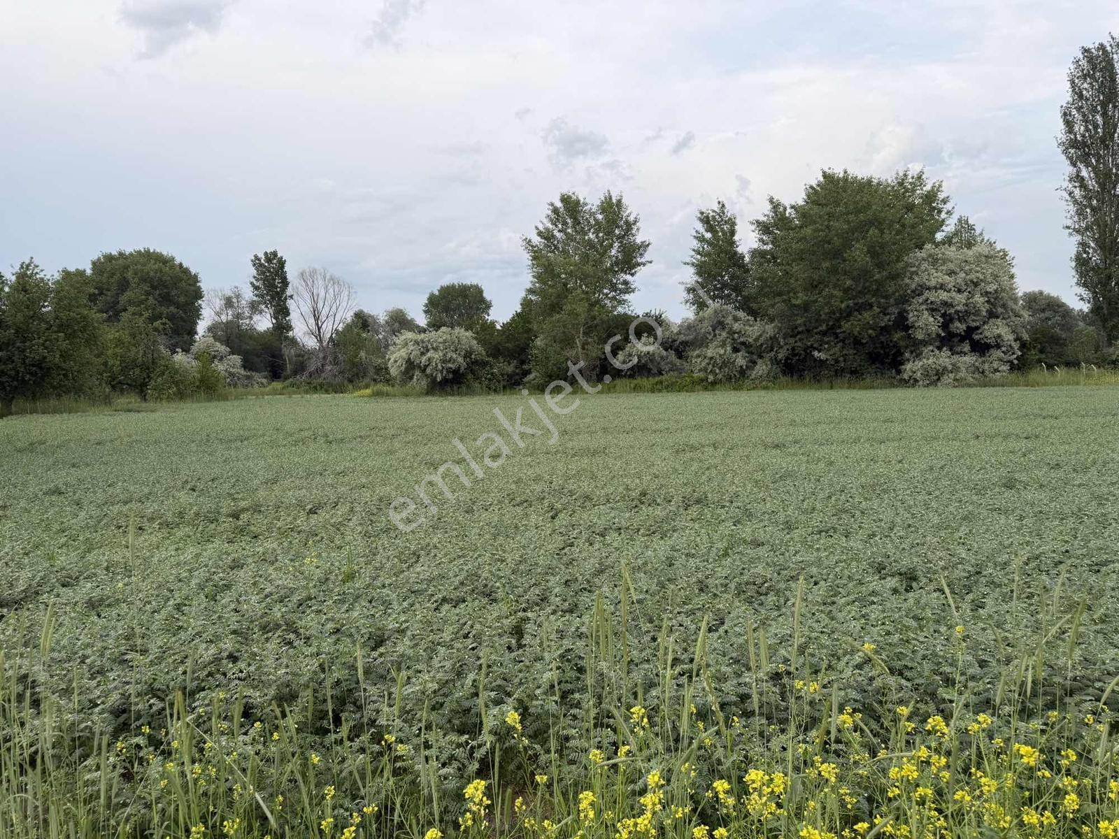 Karalar Mah. 980 M2 Bahçelik Yolu Mevcut Parsel - Görsel 3