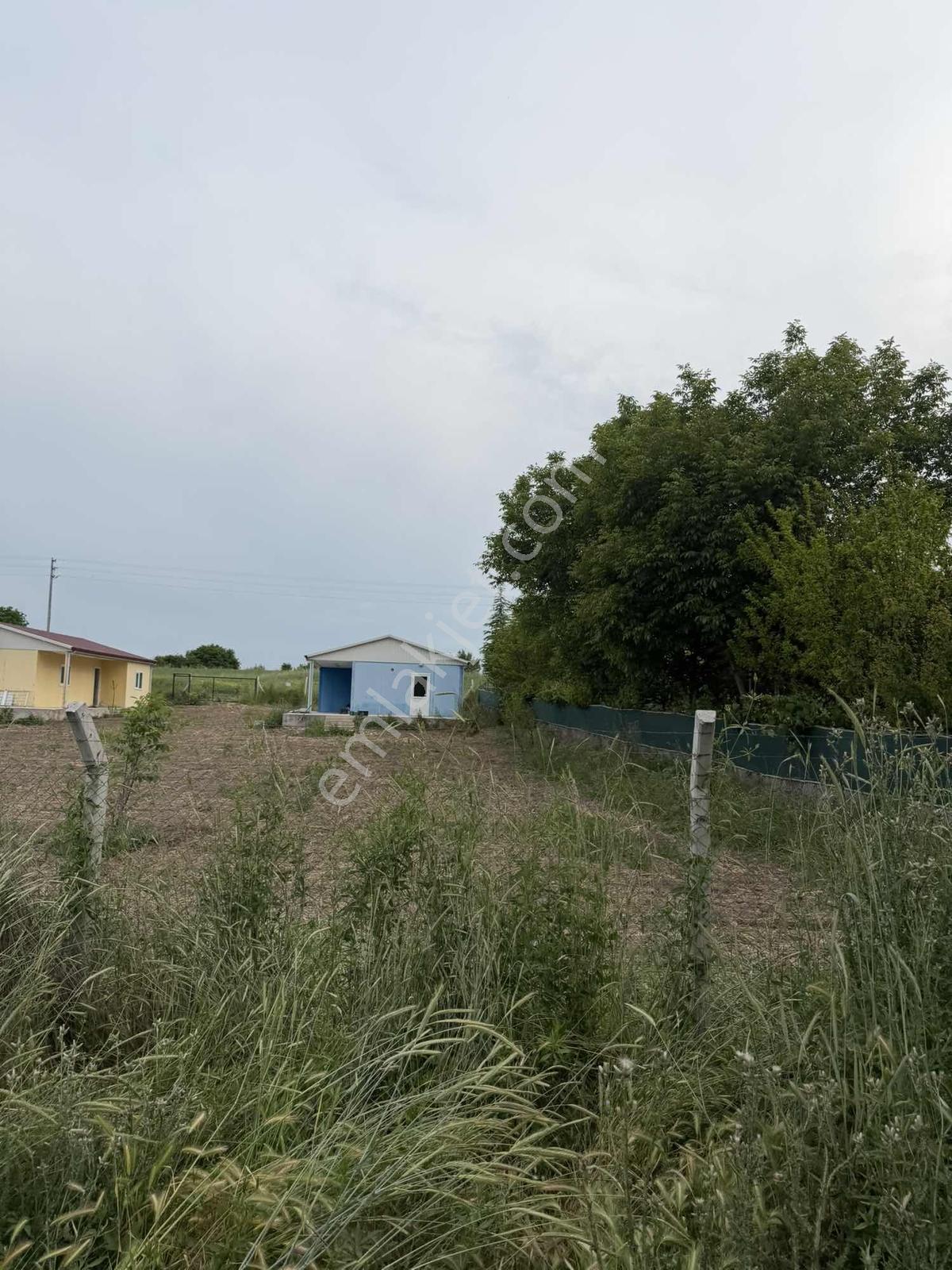 Karalar Mah. 980 M2 Bahçelik Yolu Mevcut Parsel - Görsel 16
