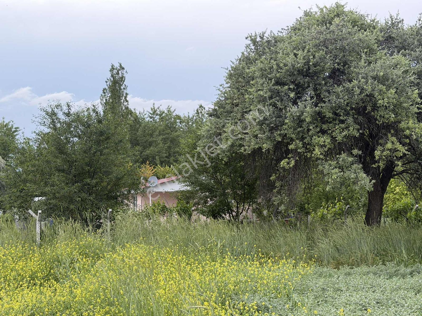 Karalar Mah. 980 M2 Bahçelik Yolu Mevcut Parsel - Görsel 15