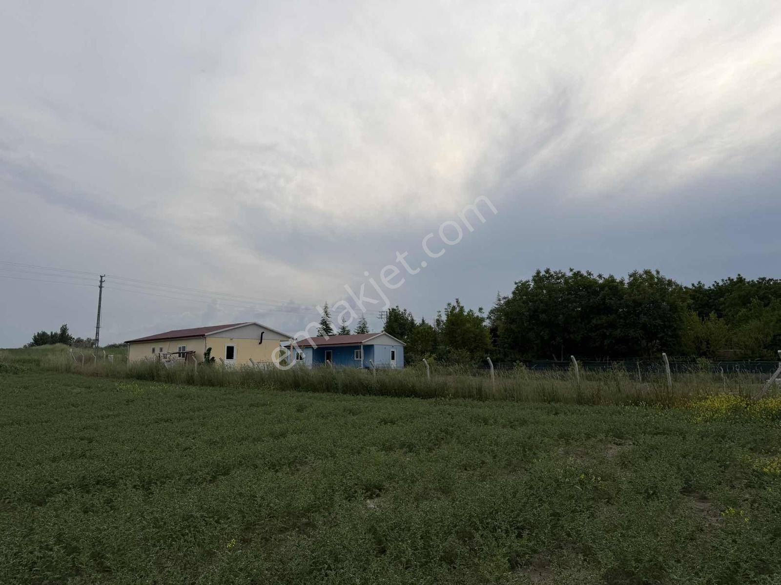 Karalar Mah. 980 M2 Bahçelik Yolu Mevcut Parsel - Görsel 2