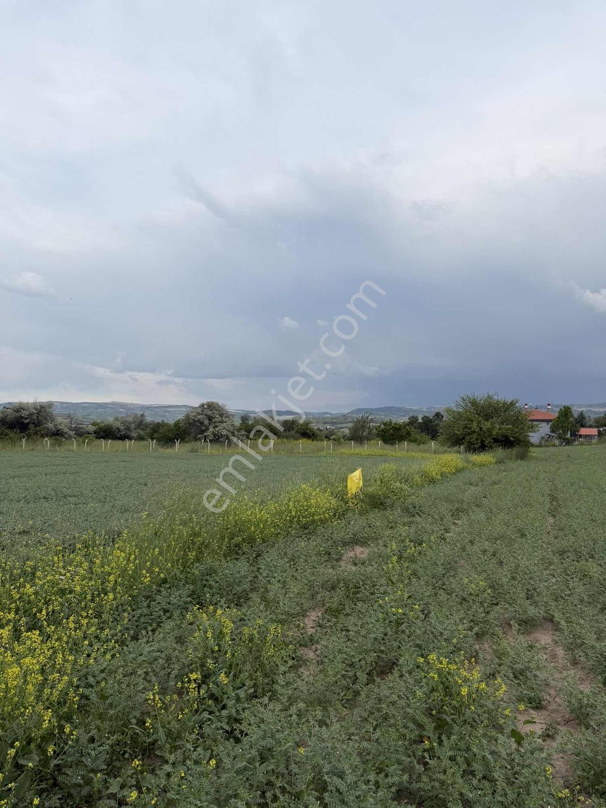 Karalar Mah. 980 M2 Bahçelik Yolu Mevcut Parsel - Görsel 5