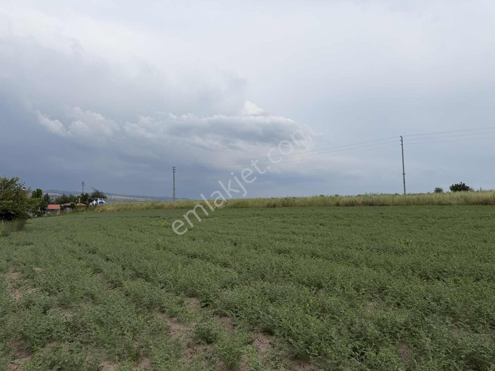 Karalar Mah. 980 M2 Bahçelik Yolu Mevcut Parsel - Görsel 4