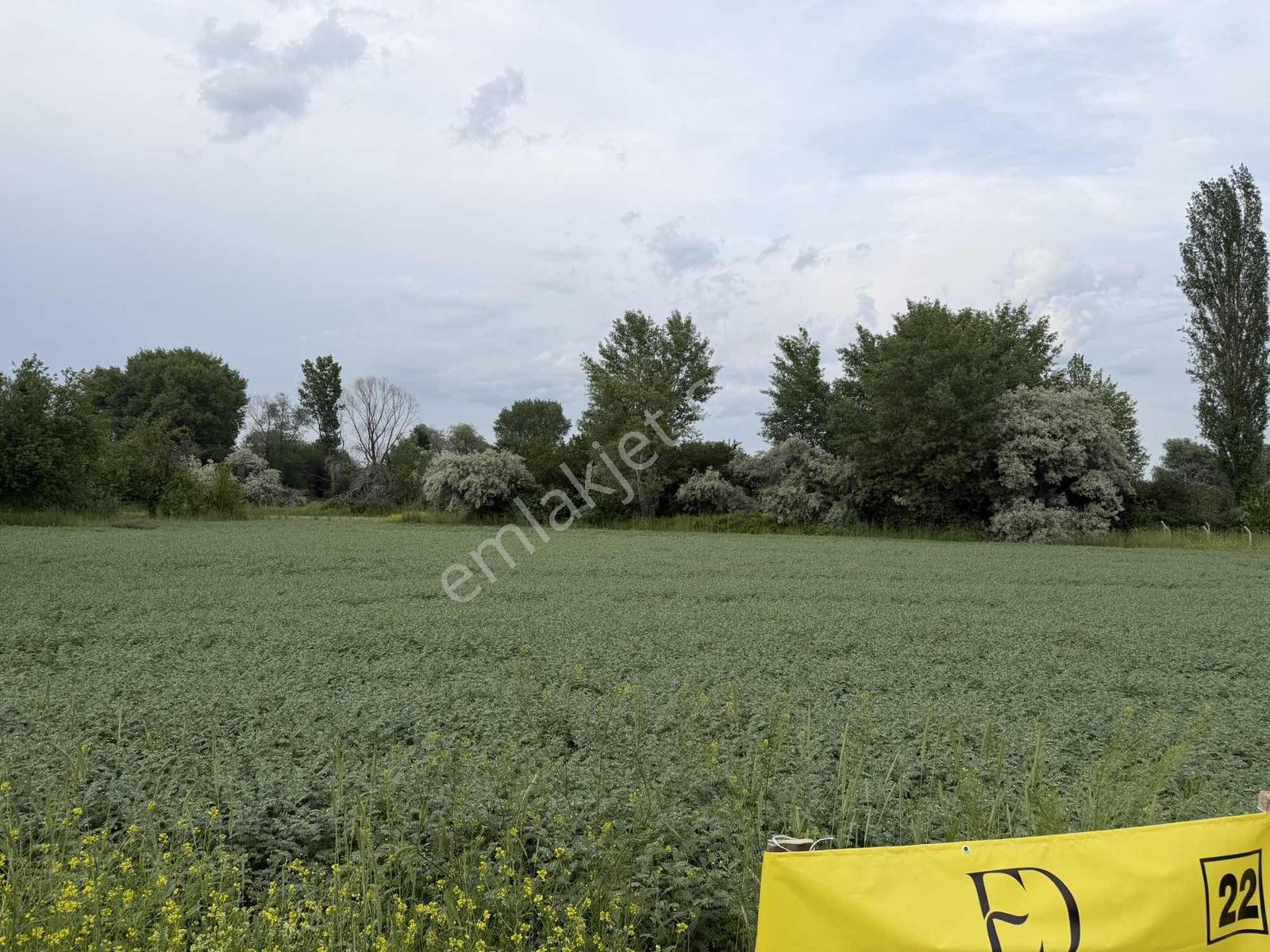 Karalar Mah. 980 M2 Bahçelik Yolu Mevcut Parsel - Görsel 9