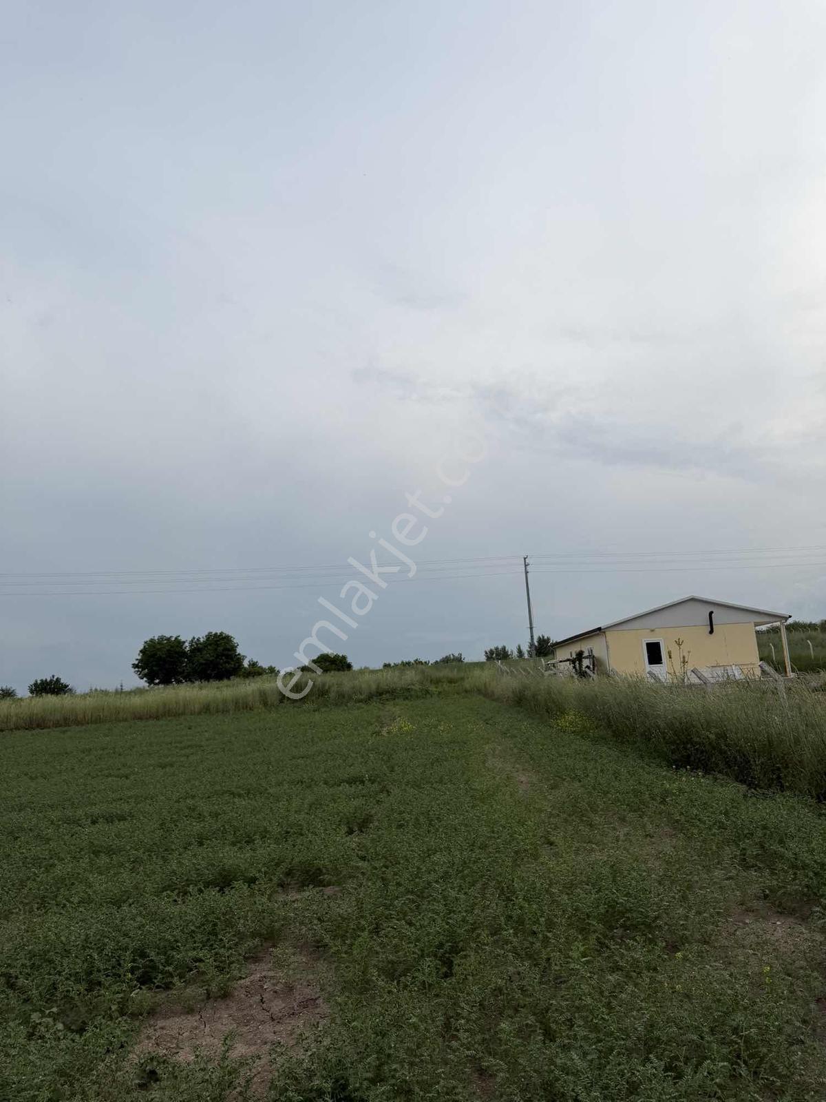 Karalar Mah. 980 M2 Bahçelik Yolu Mevcut Parsel - Görsel 7