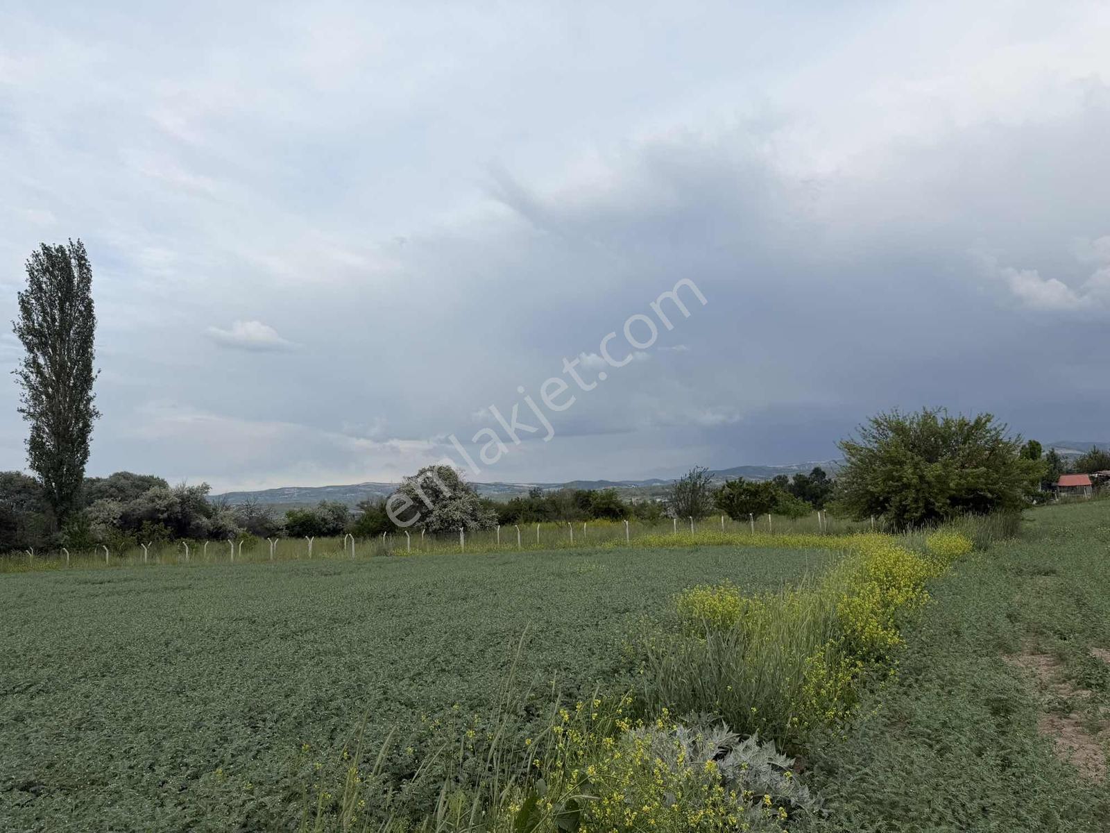 Karalar Mah. 980 M2 Bahçelik Yolu Mevcut Parsel - Görsel 13