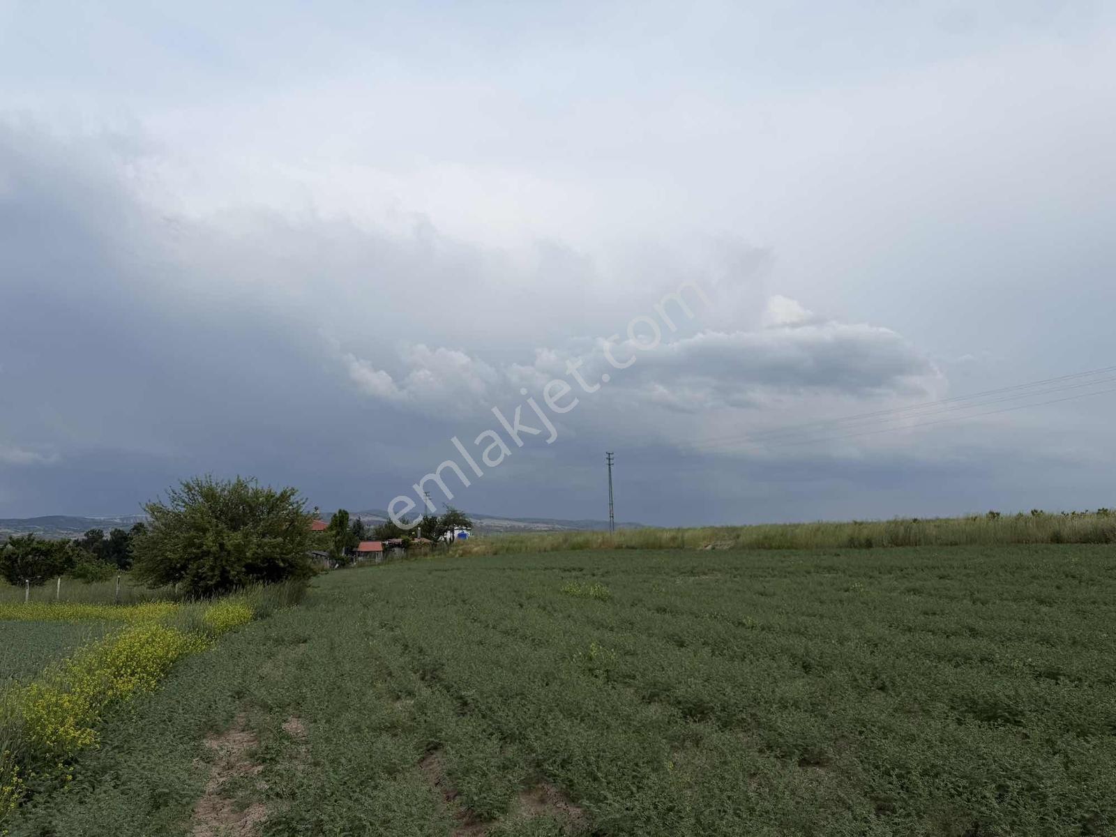 Karalar Mah. 980 M2 Bahçelik Yolu Mevcut Parsel - Görsel 21