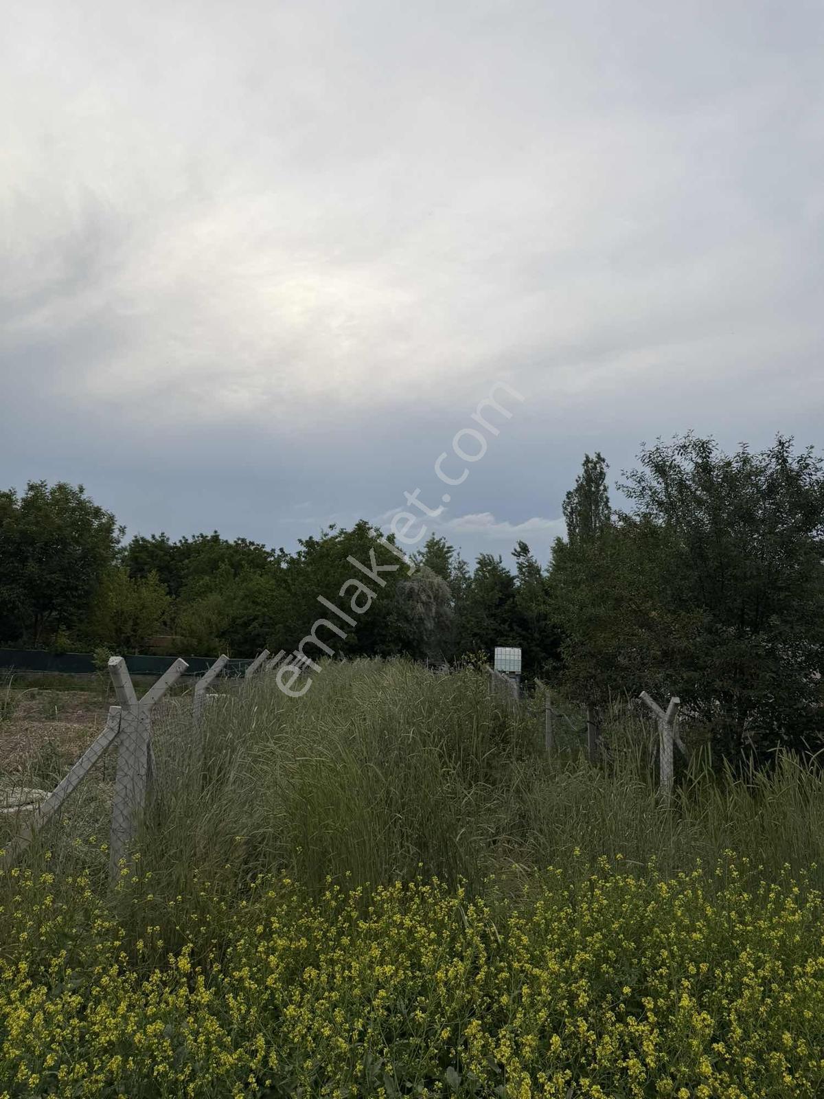 Karalar Mah. 980 M2 Bahçelik Yolu Mevcut Parsel - Görsel 14