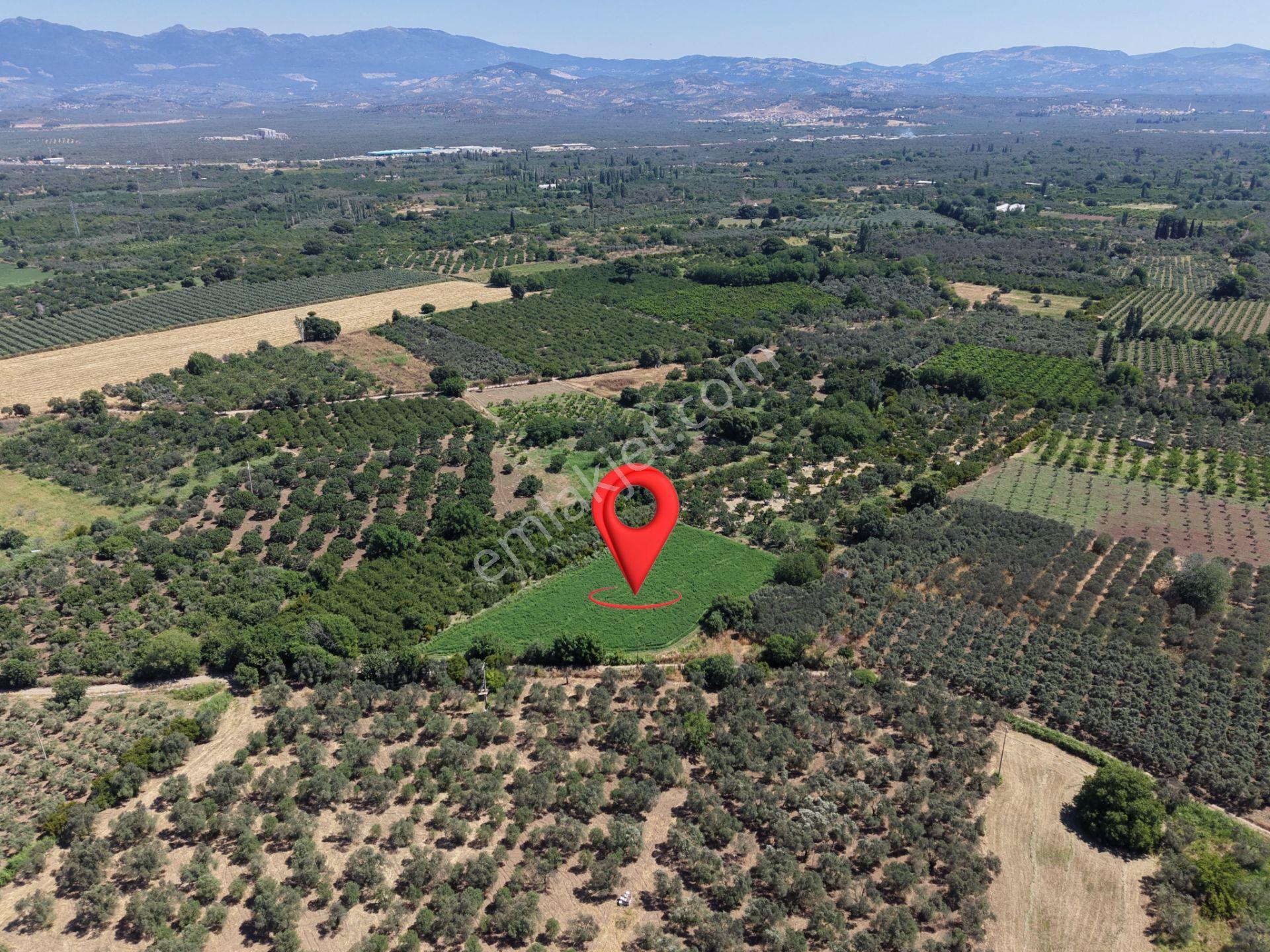 ▀▄mera Emlaktan Havran Tekke Mah. Doğayla İç İçe 4.948m2 Tarla - Görsel 30