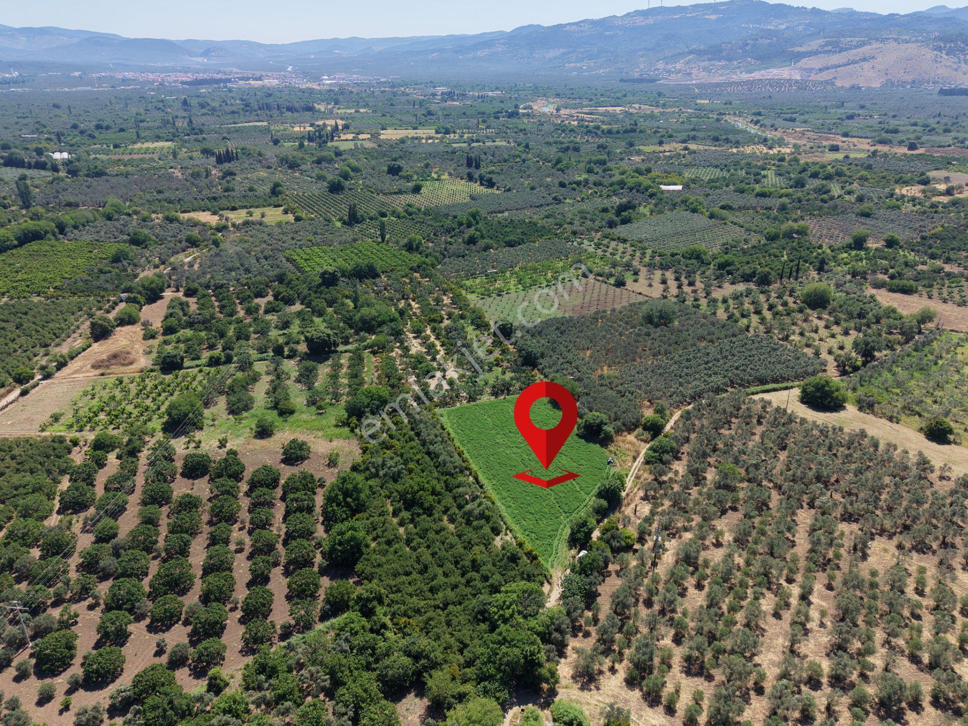 ▀▄mera Emlaktan Havran Tekke Mah. Doğayla İç İçe 4.948m2 Tarla - Görsel 29