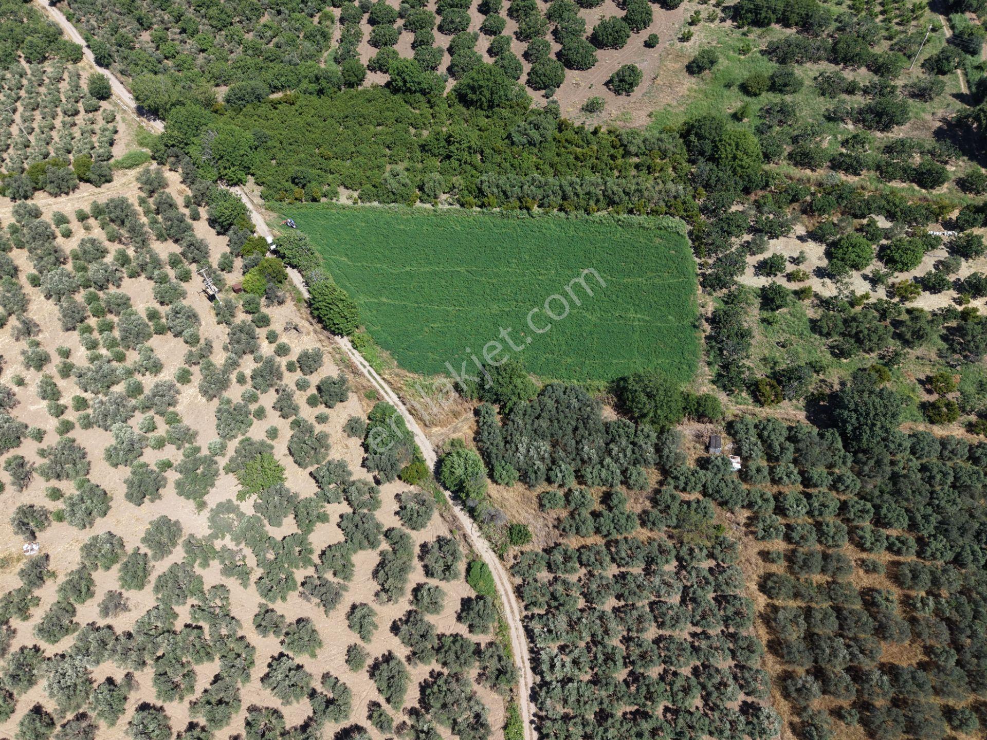 ▀▄mera Emlaktan Havran Tekke Mah. Doğayla İç İçe 4.948m2 Tarla - Görsel 4