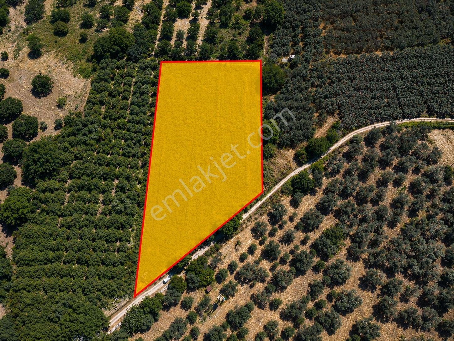 ▀▄mera Emlaktan Havran Tekke Mah. Doğayla İç İçe 4.948m2 Tarla - Görsel 2
