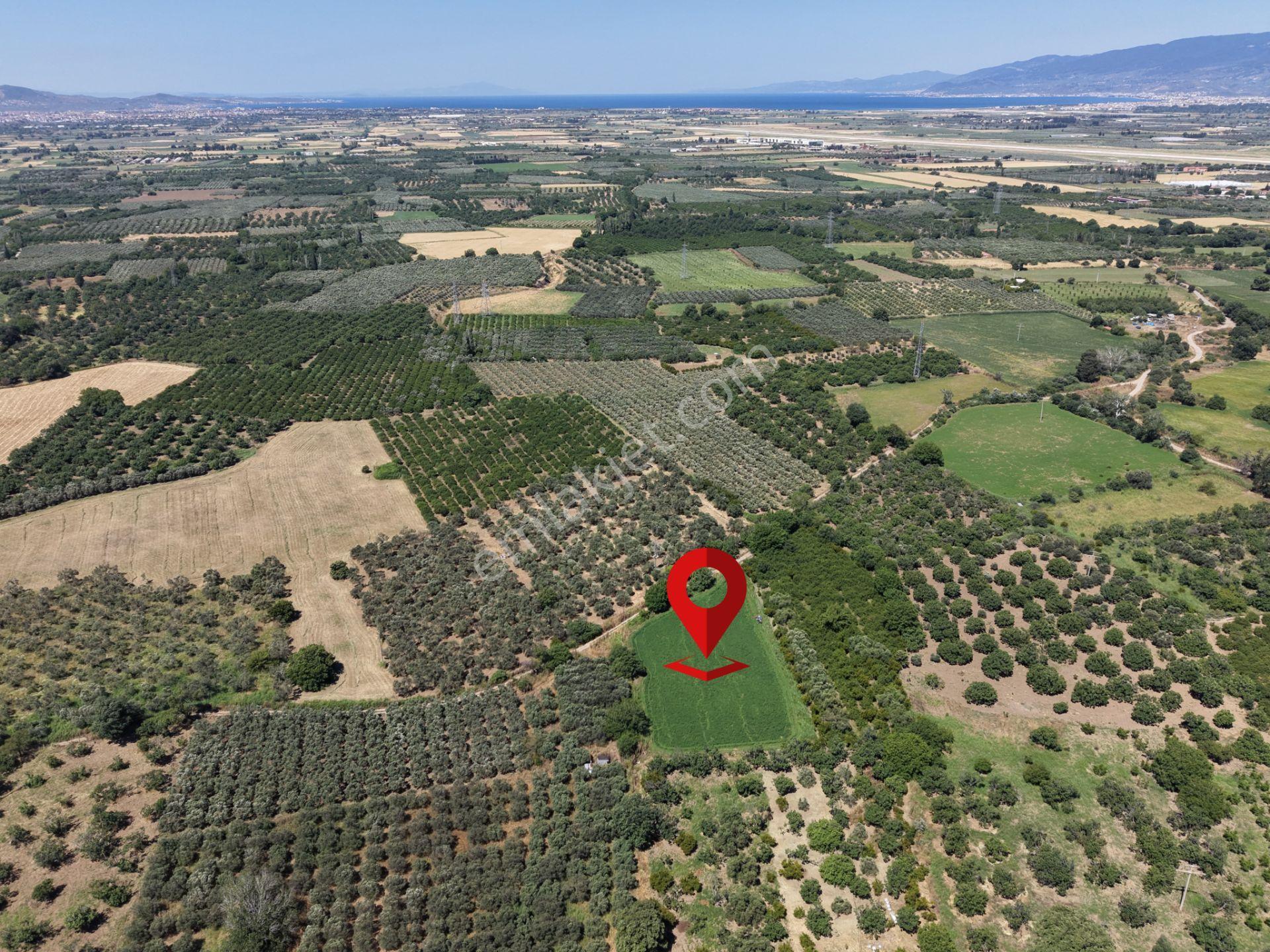 ▀▄mera Emlaktan Havran Tekke Mah. Doğayla İç İçe 4.948m2 Tarla - Görsel 28