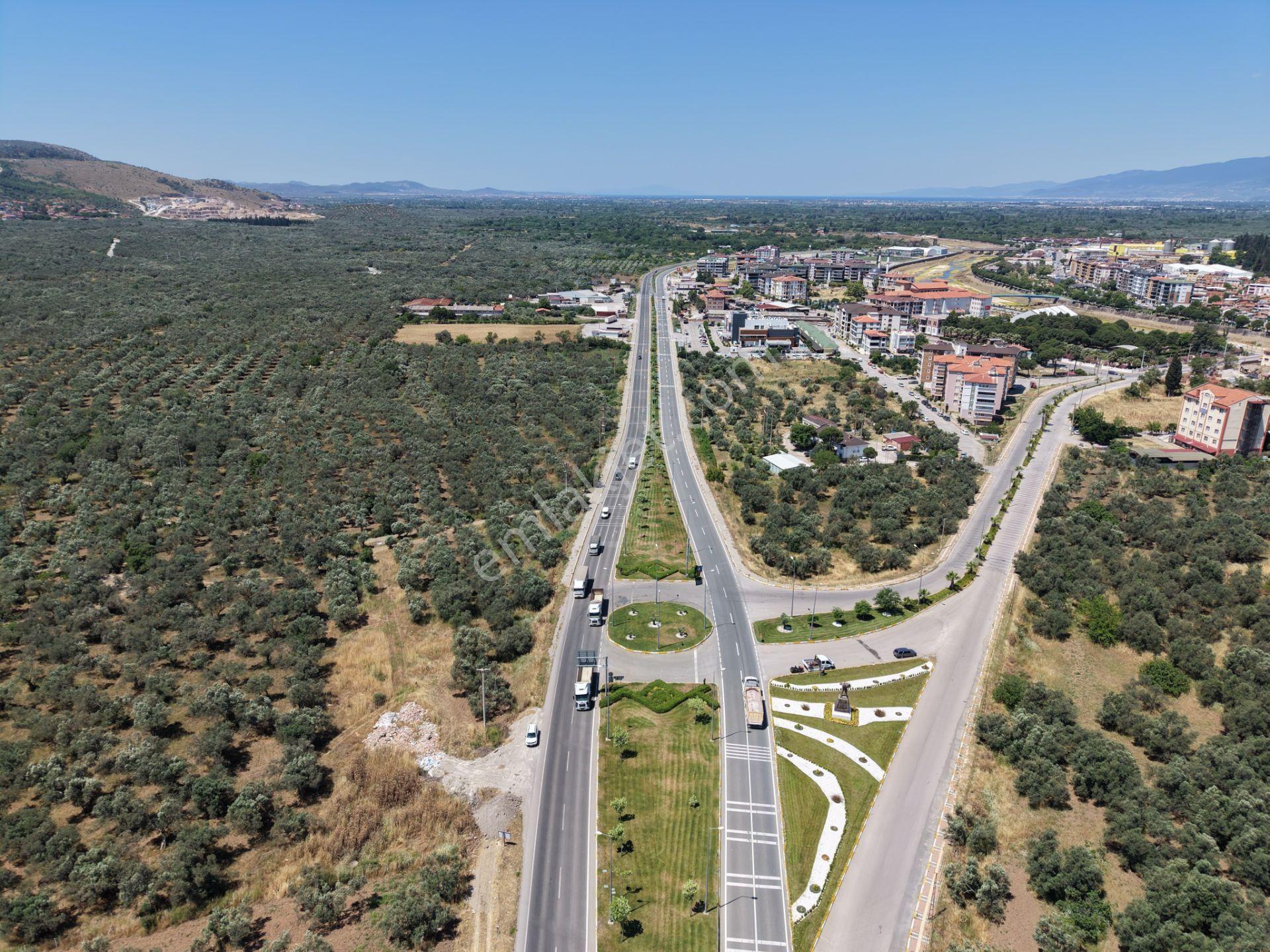 ▀mera Emlaktan Havran Mescitde Asfalta Cephe 2.081m2 Zeytinlik - Görsel 21