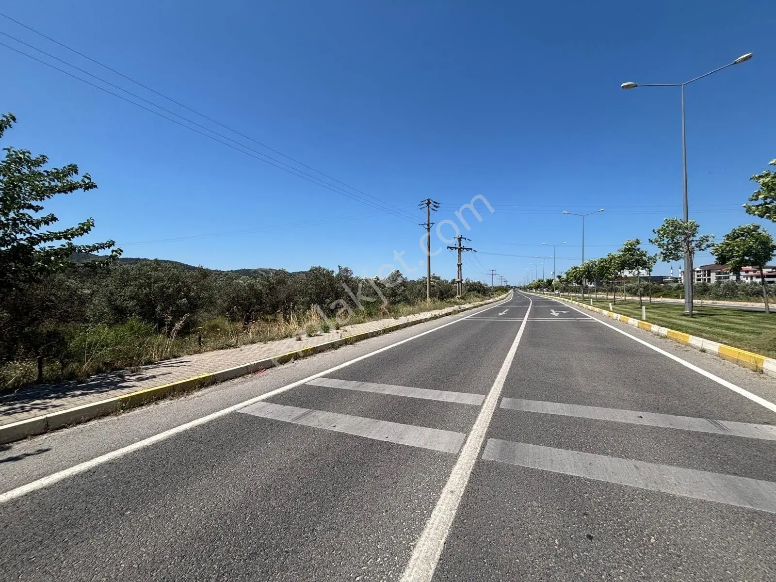 ▀mera Emlaktan Havran Mescitde Asfalta Cephe 2.081m2 Zeytinlik - Görsel 5