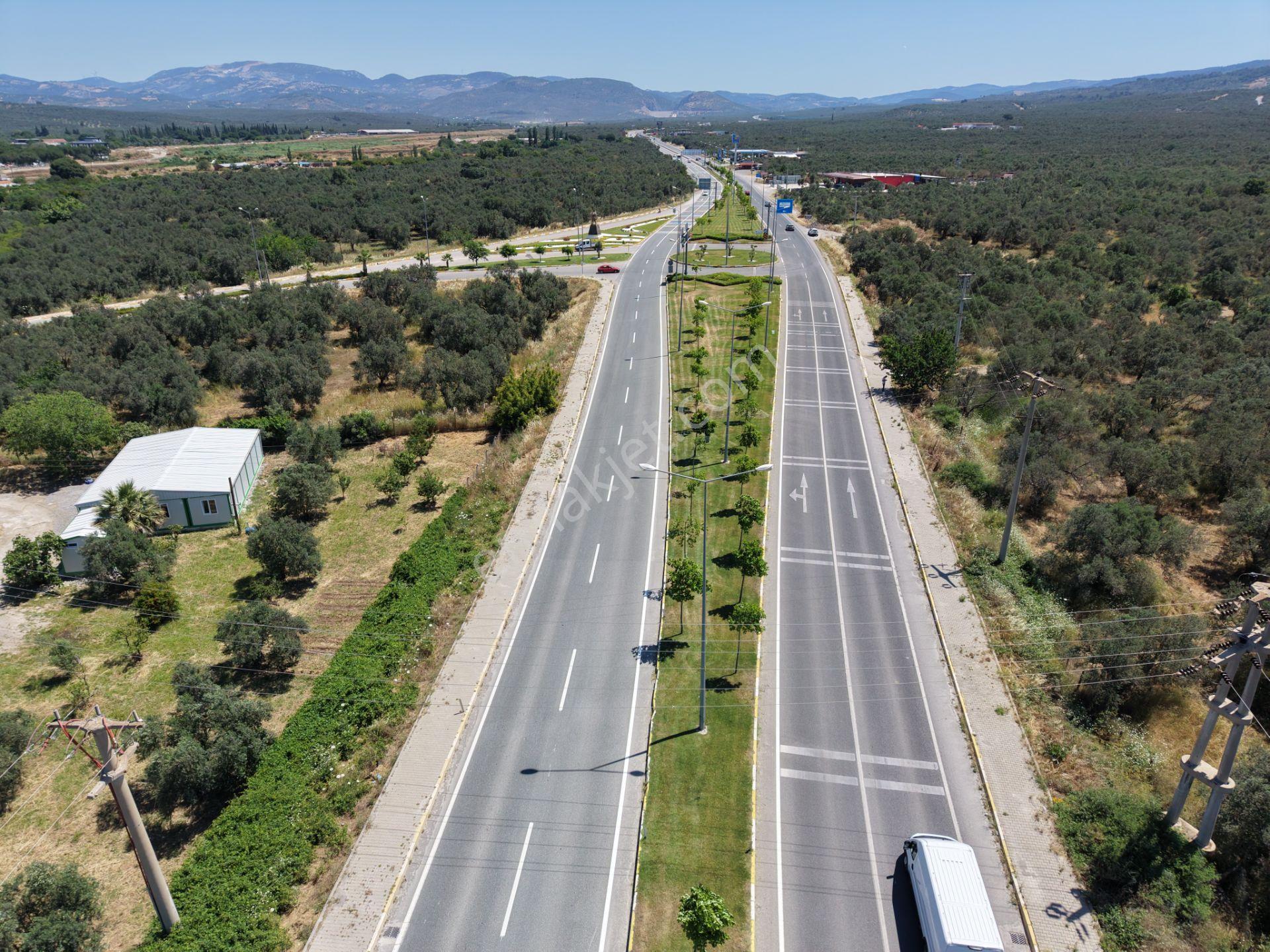 ▀mera Emlaktan Havran Mescitde Asfalta Cephe 2.081m2 Zeytinlik - Görsel 28