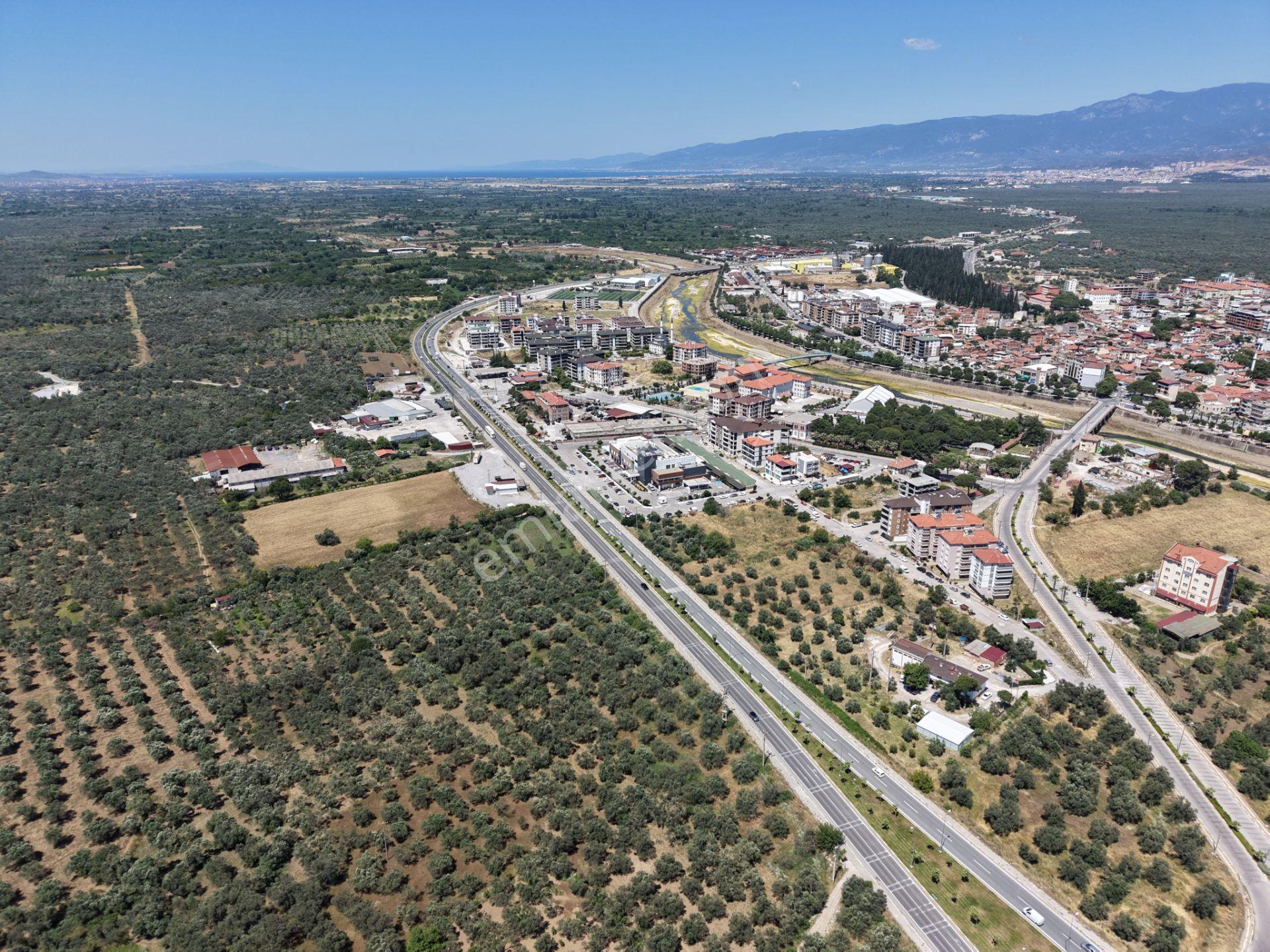 ▀mera Emlaktan Havran Mescitde Asfalta Cephe 2.081m2 Zeytinlik - Görsel 13