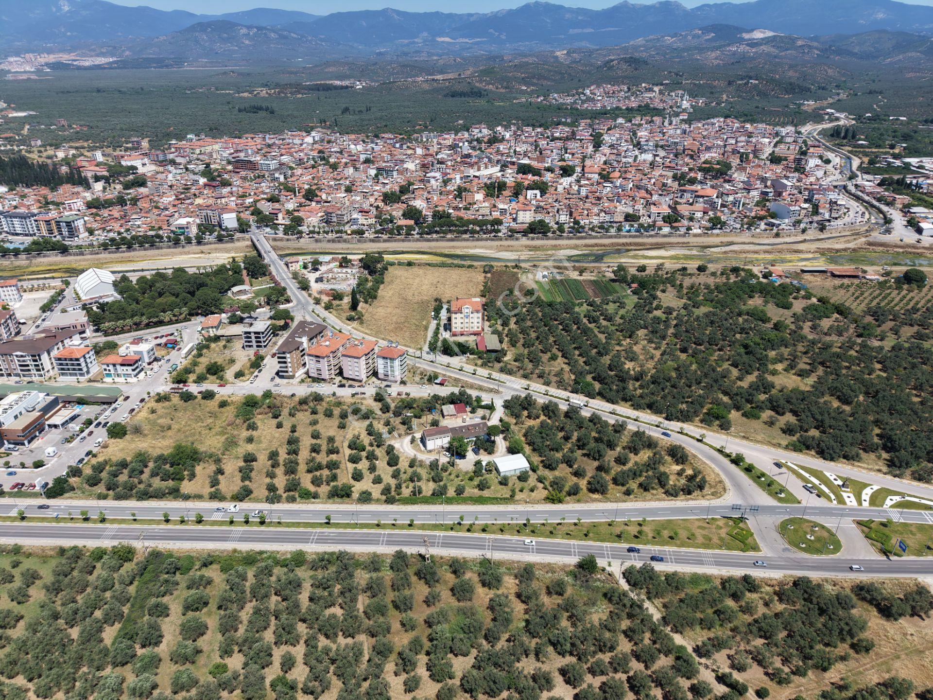 ▀mera Emlaktan Havran Mescitde Asfalta Cephe 2.081m2 Zeytinlik - Görsel 11