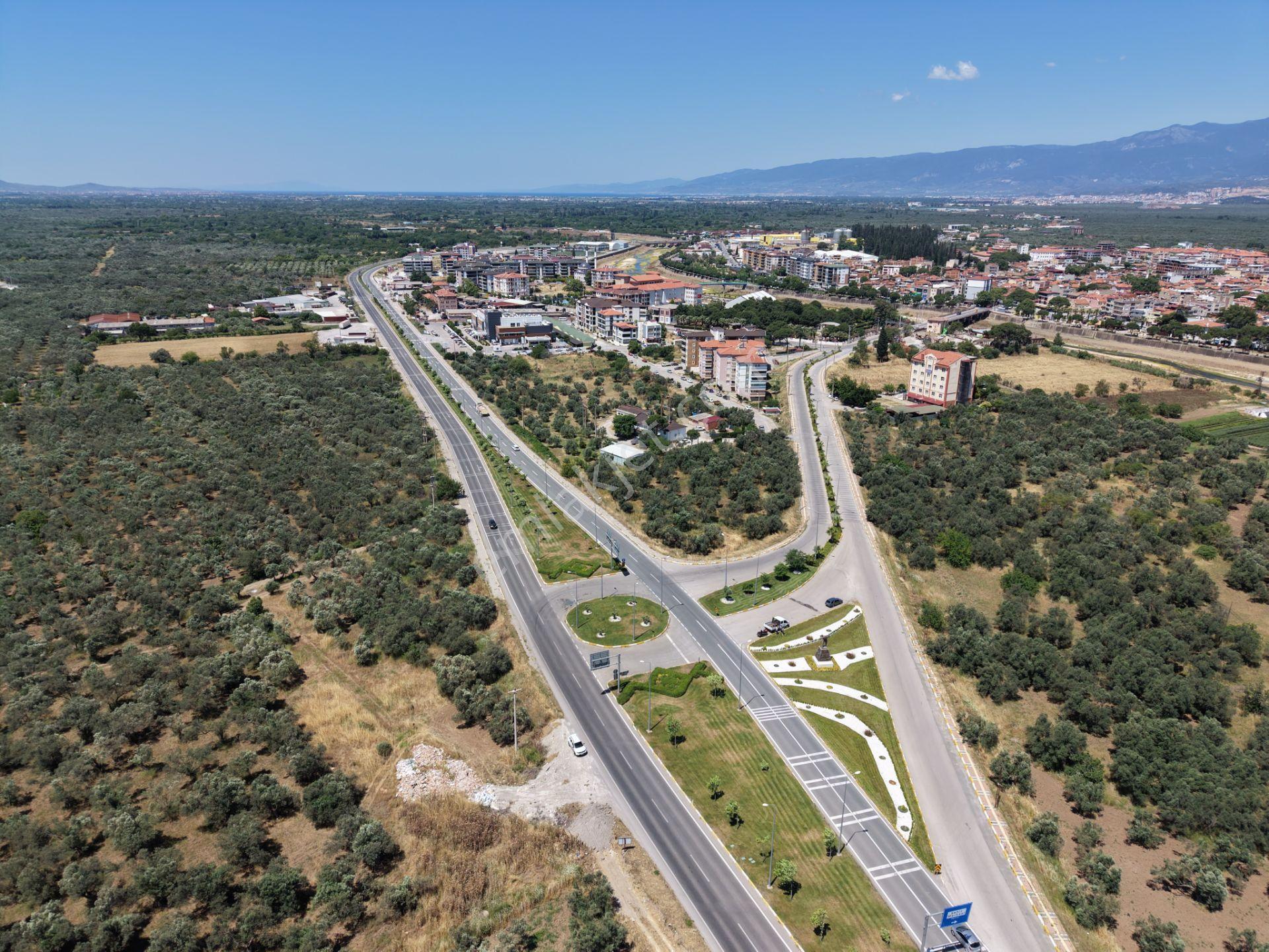 ▀mera Emlaktan Havran Mescitde Asfalta Cephe 2.081m2 Zeytinlik - Görsel 23