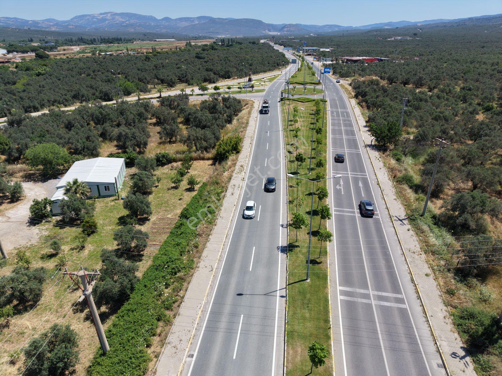 ▀mera Emlaktan Havran Mescitde Asfalta Cephe 2.081m2 Zeytinlik - Görsel 27