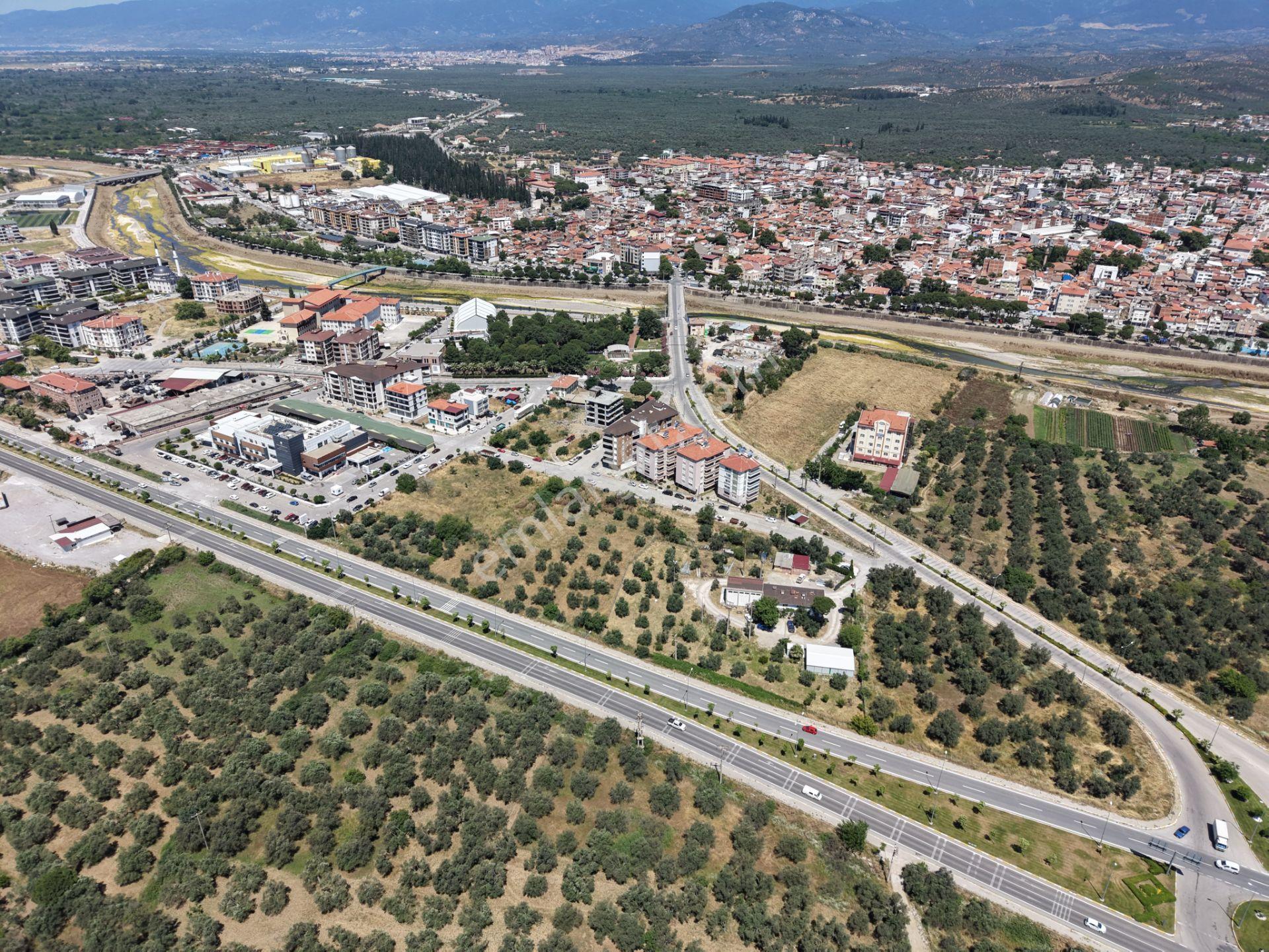 ▀mera Emlaktan Havran Mescitde Asfalta Cephe 2.081m2 Zeytinlik - Görsel 12