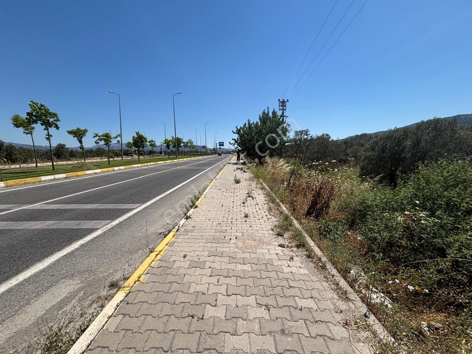 ▀mera Emlaktan Havran Mescitde Asfalta Cephe 2.081m2 Zeytinlik - Görsel 10