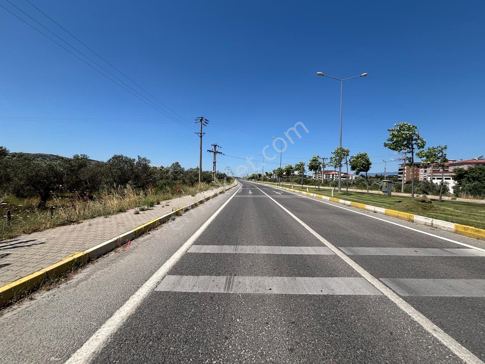 ▀mera Emlaktan Havran Mescitde Asfalta Cephe 2.081m2 Zeytinlik - Görsel 7