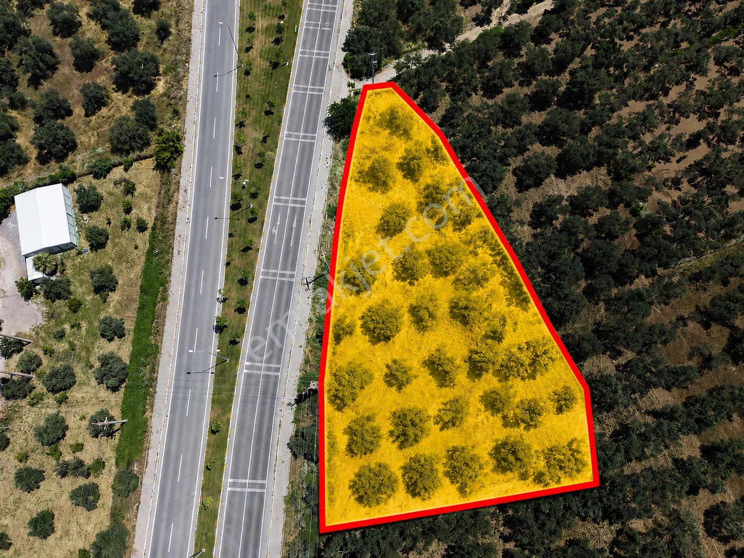 ▀mera Emlaktan Havran Mescitde Asfalta Cephe 2.081m2 Zeytinlik - Görsel 2