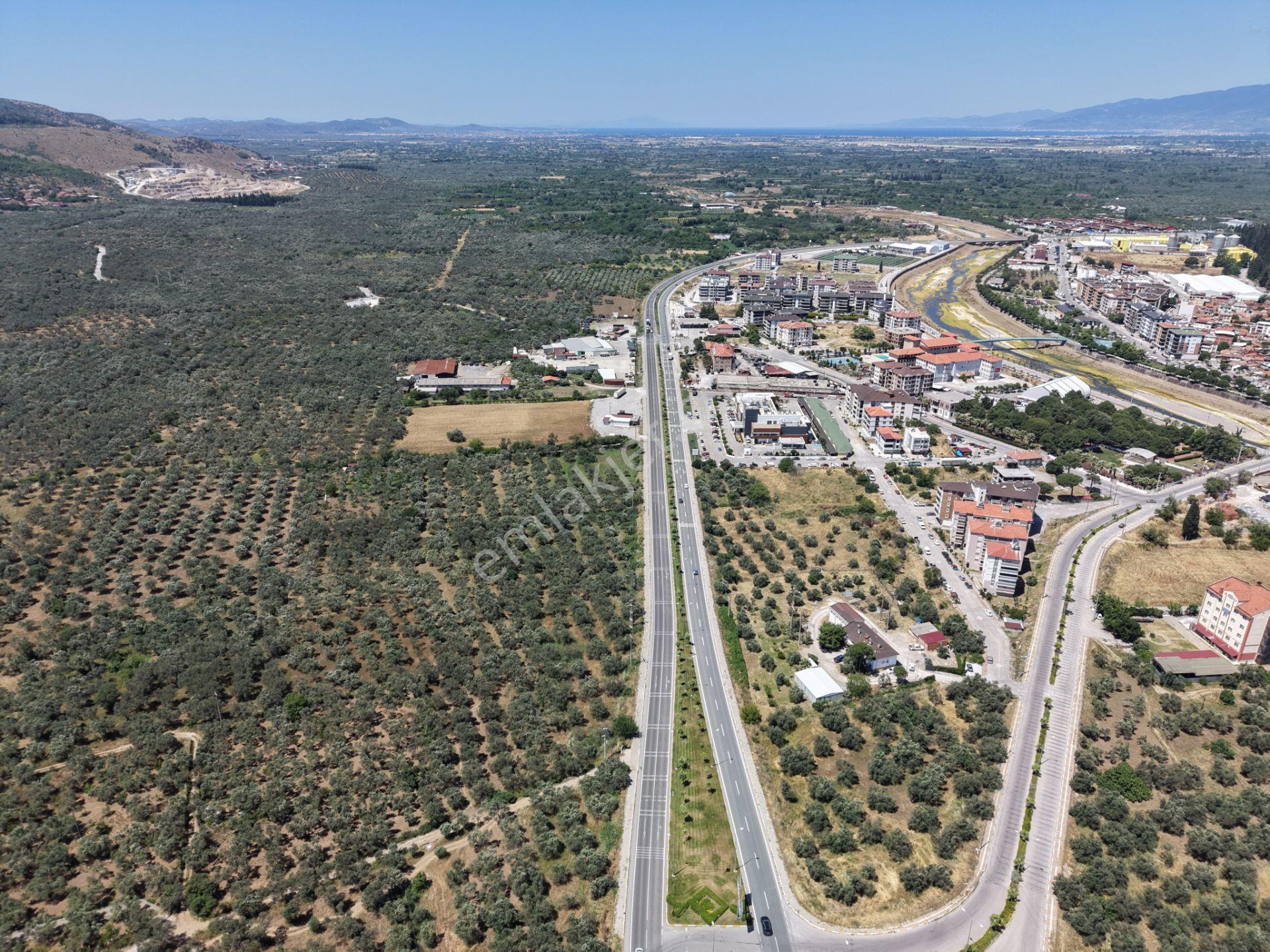 ▀mera Emlaktan Havran Mescitde Asfalta Cephe 2.081m2 Zeytinlik - Görsel 14