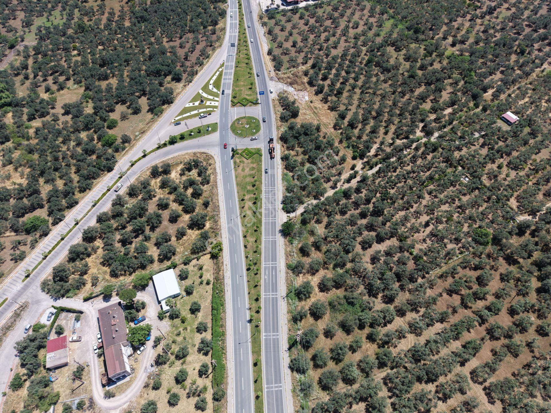 ▀mera Emlaktan Havran Mescitde Asfalta Cephe 2.081m2 Zeytinlik - Görsel 9