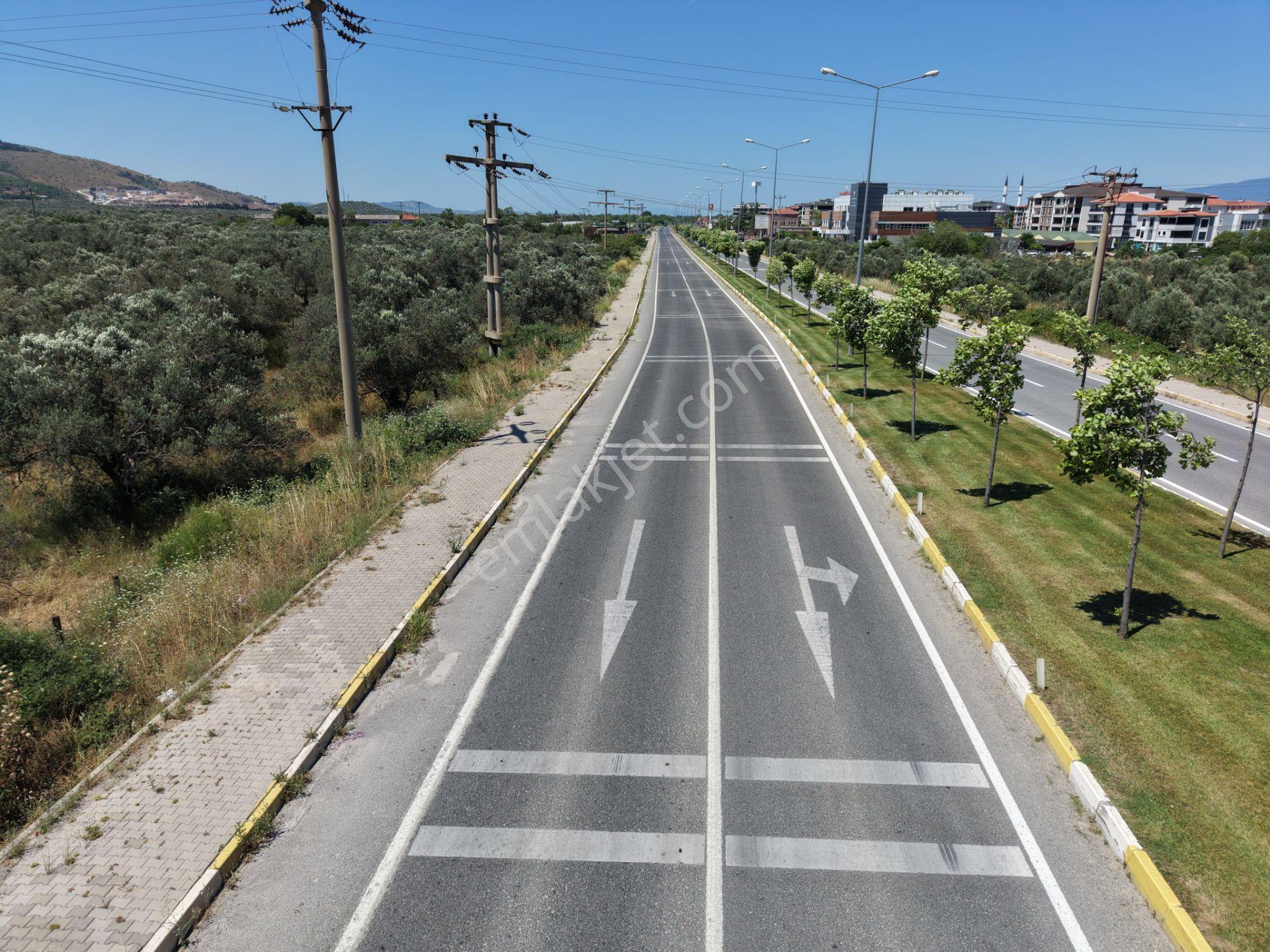 ▀mera Emlaktan Havran Mescitde Asfalta Cephe 2.081m2 Zeytinlik - Görsel 29