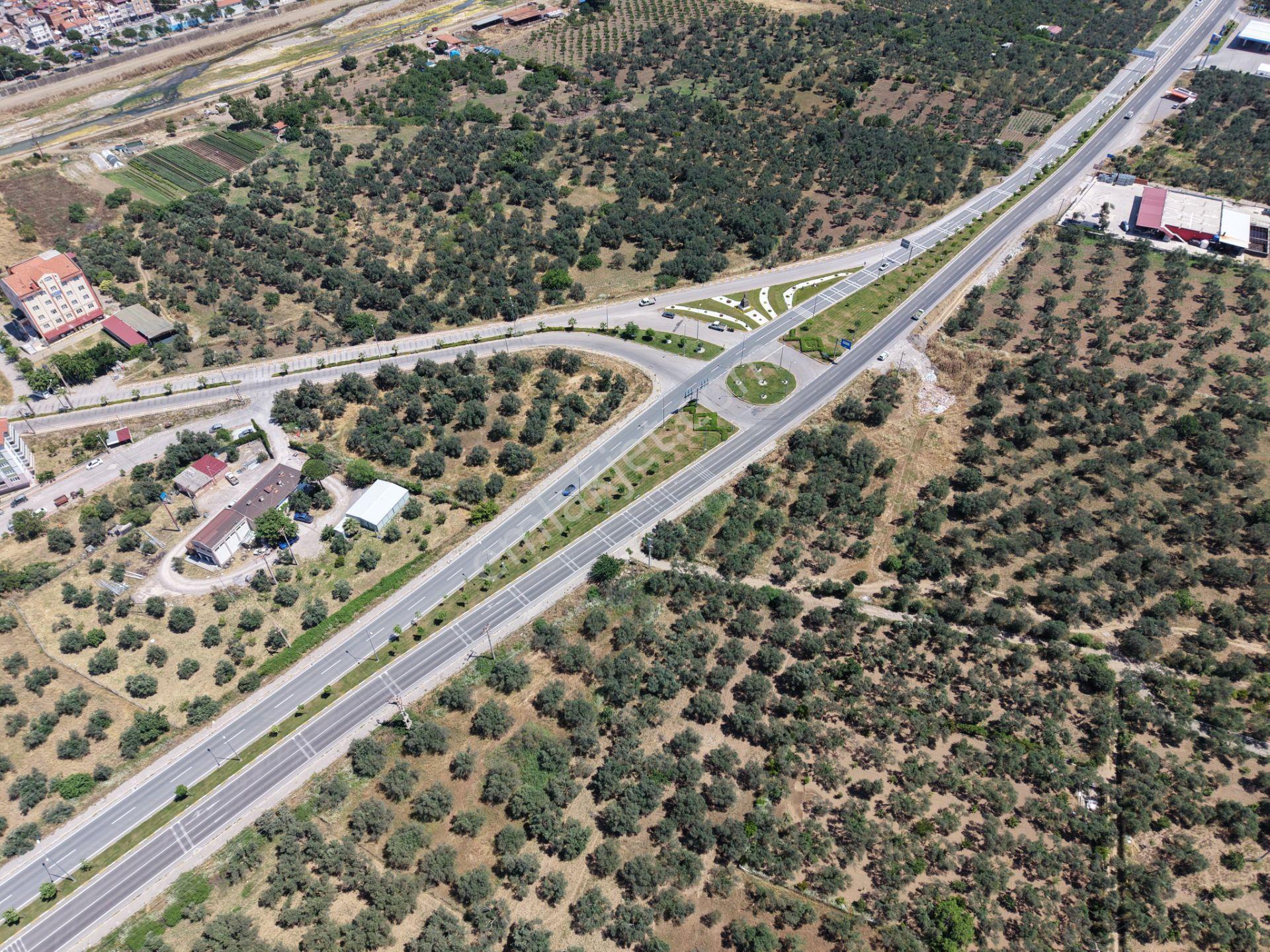 ▀mera Emlaktan Havran Mescitde Asfalta Cephe 2.081m2 Zeytinlik - Görsel 8