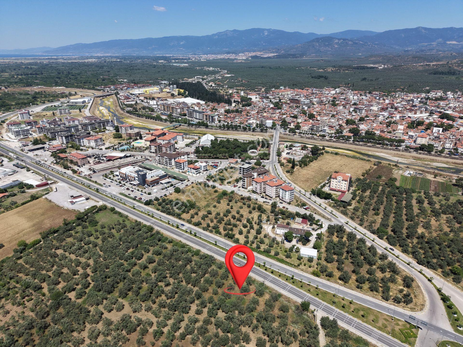 ▀mera Emlaktan Havran Mescitde Asfalta Cephe 2.081m2 Zeytinlik