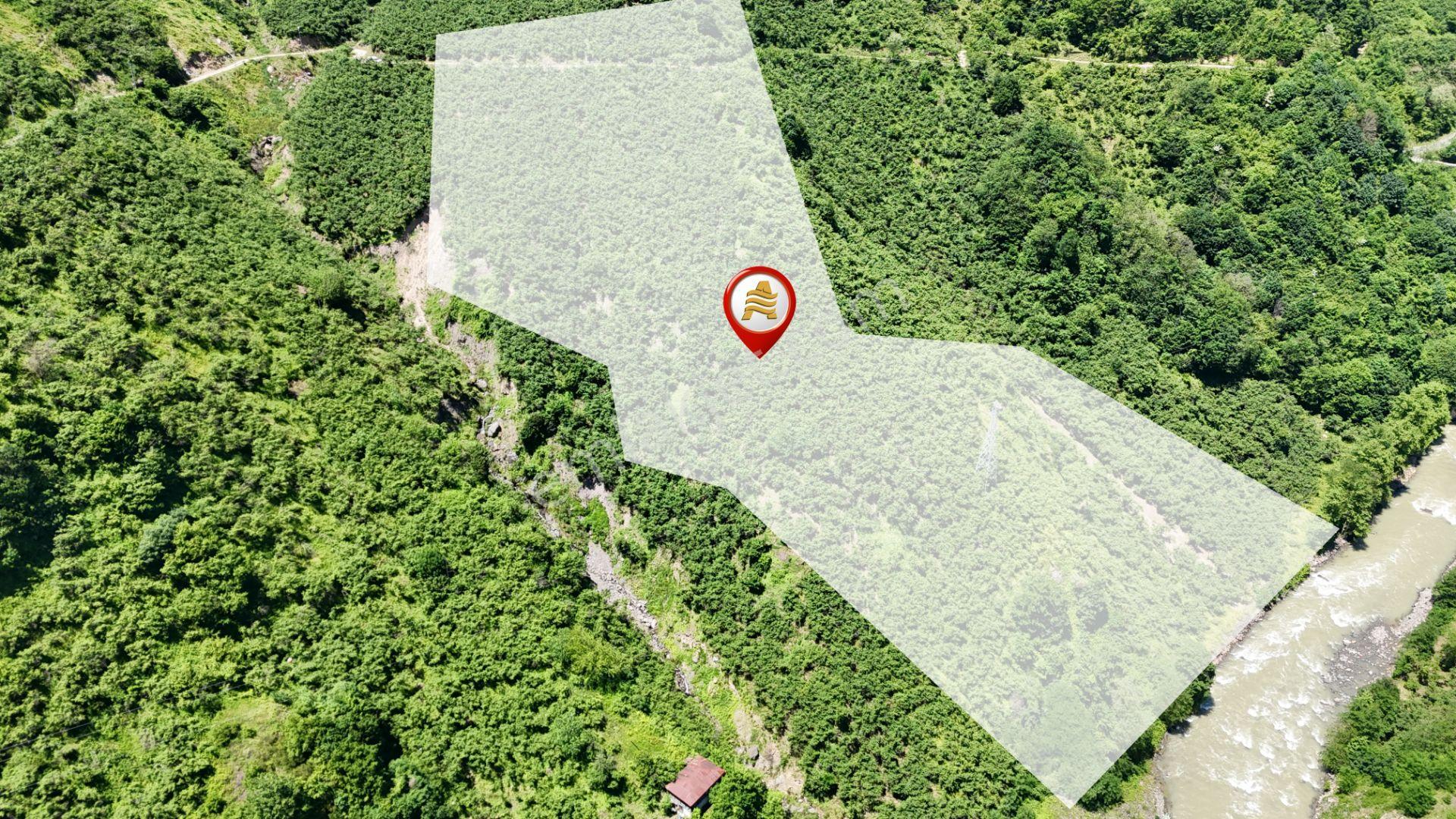 Altın Emlak Giresun'dan Çağlayanda 18.9 Dönüm Satılık Fındık Bahçesi