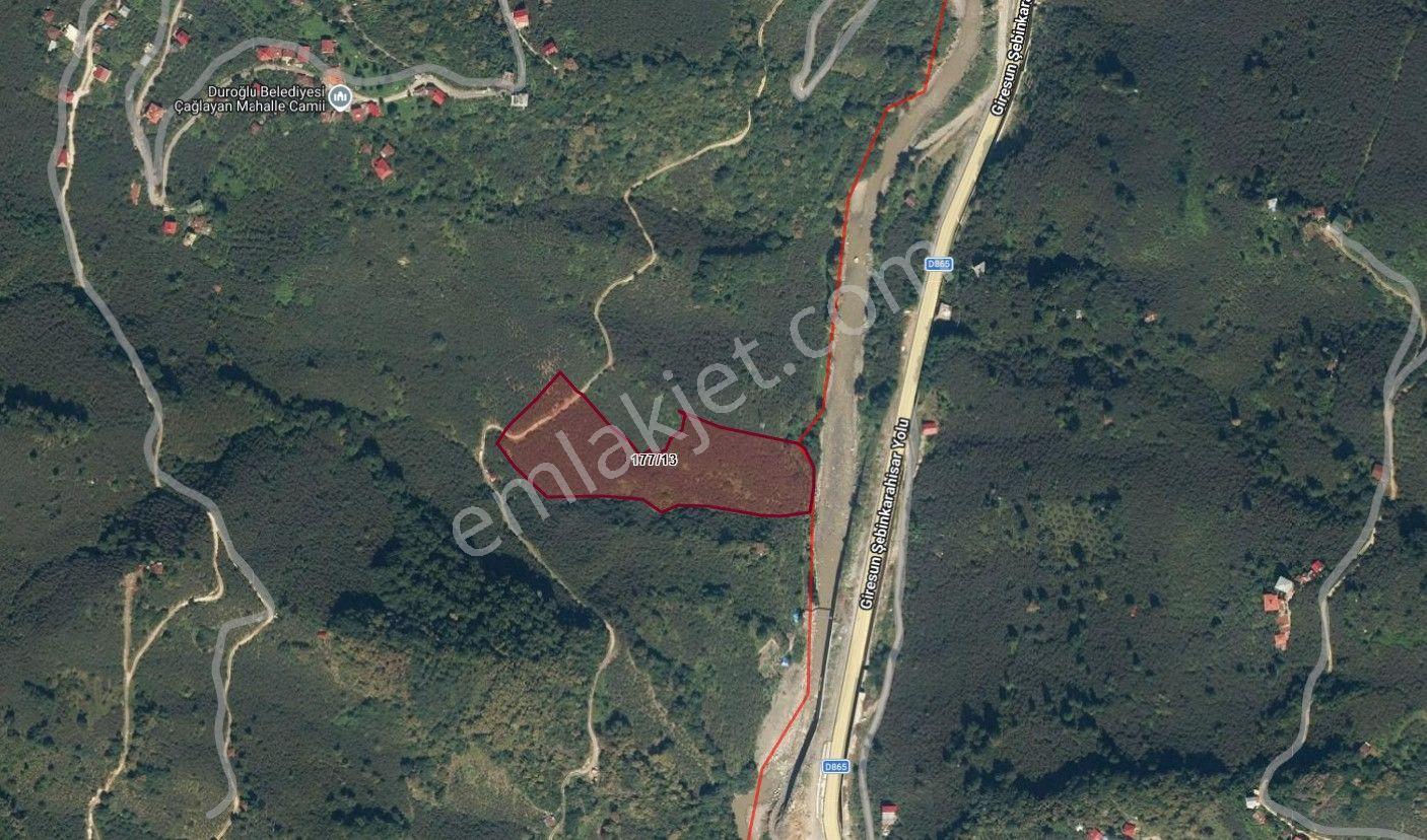 Altın Emlak Giresun'dan Çağlayanda 18.9 Dönüm Satılık Fındık Bahçesi - Görsel 2