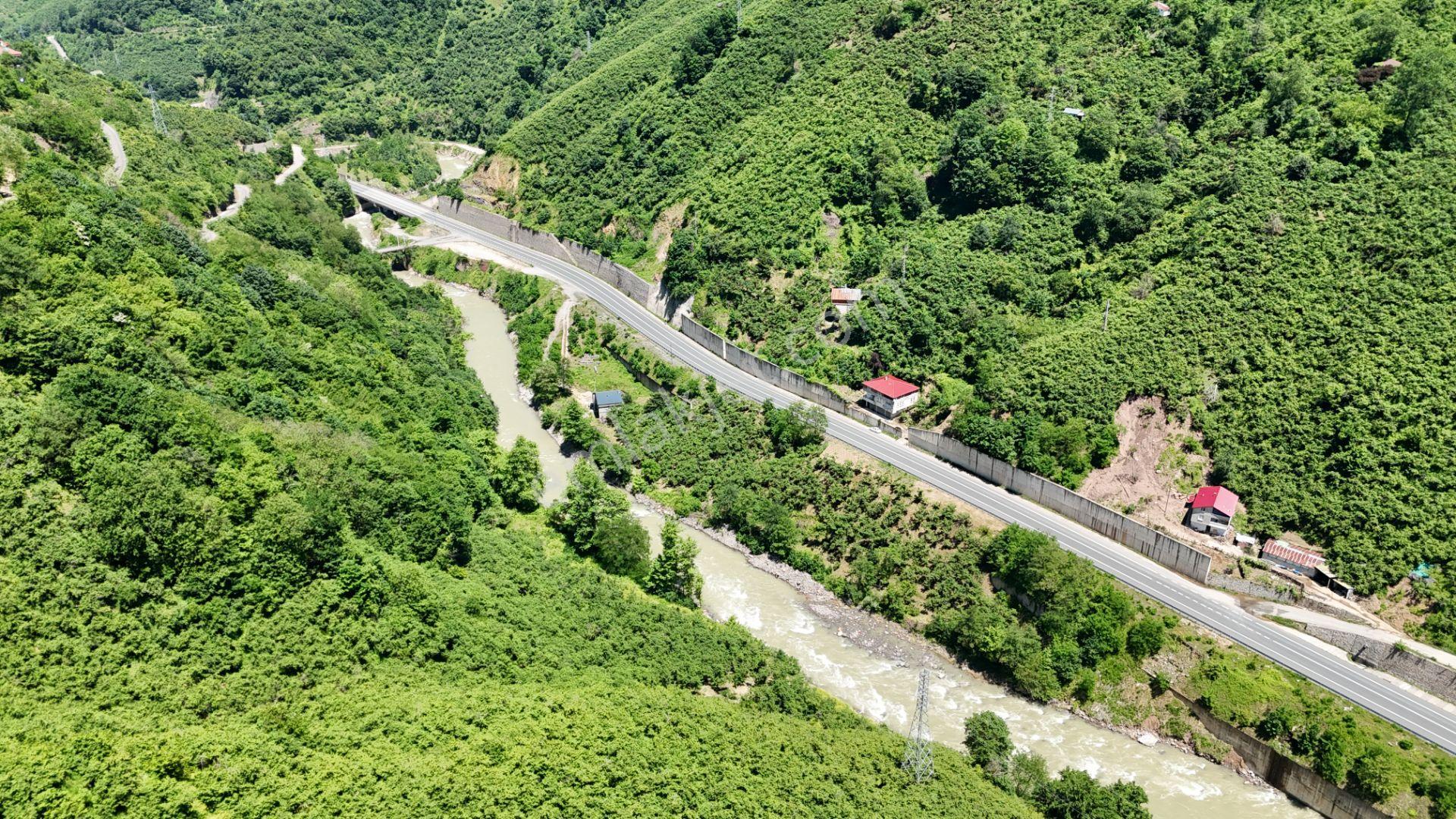 Altın Emlak Giresun'dan Çağlayanda 18.9 Dönüm Satılık Fındık Bahçesi - Görsel 7