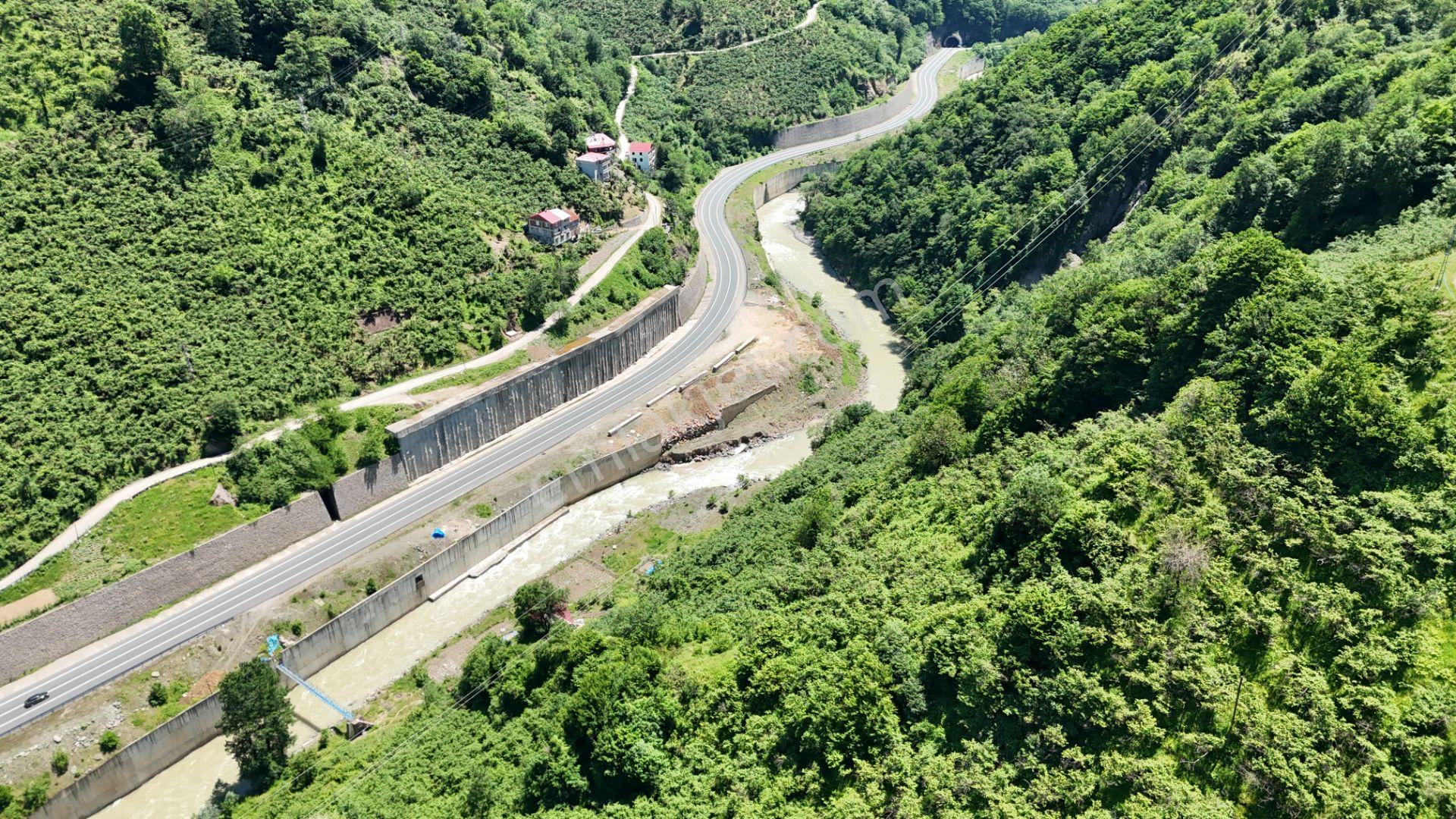 Altın Emlak Giresun'dan Çağlayanda 18.9 Dönüm Satılık Fındık Bahçesi - Görsel 6