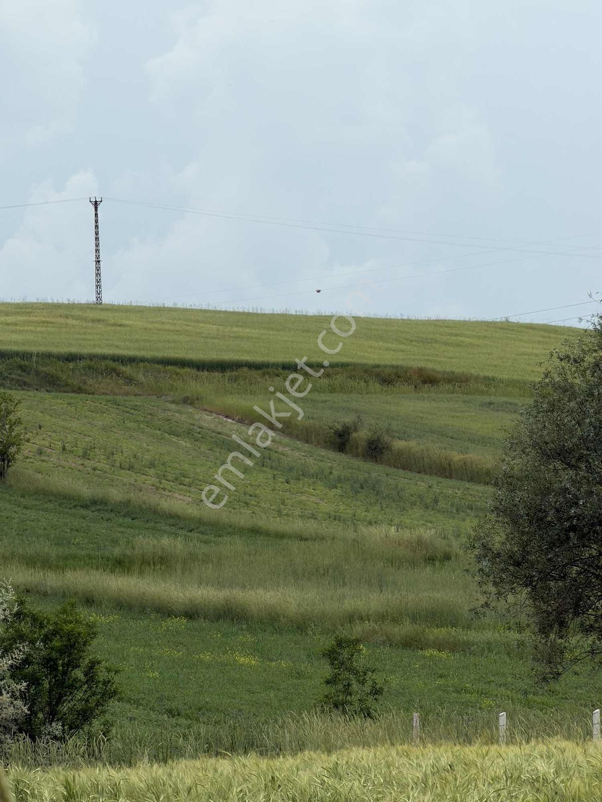 K.kazan Karalar Mah. 1340m2 Satılık Yatırımlık Tarla