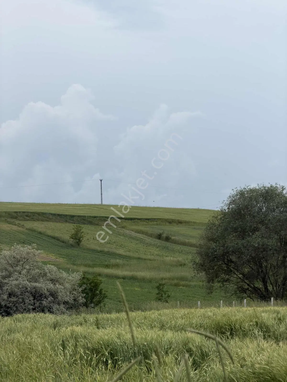 K.kazan Karalar Mah. 1340m2 Satılık Yatırımlık Tarla - Görsel 5