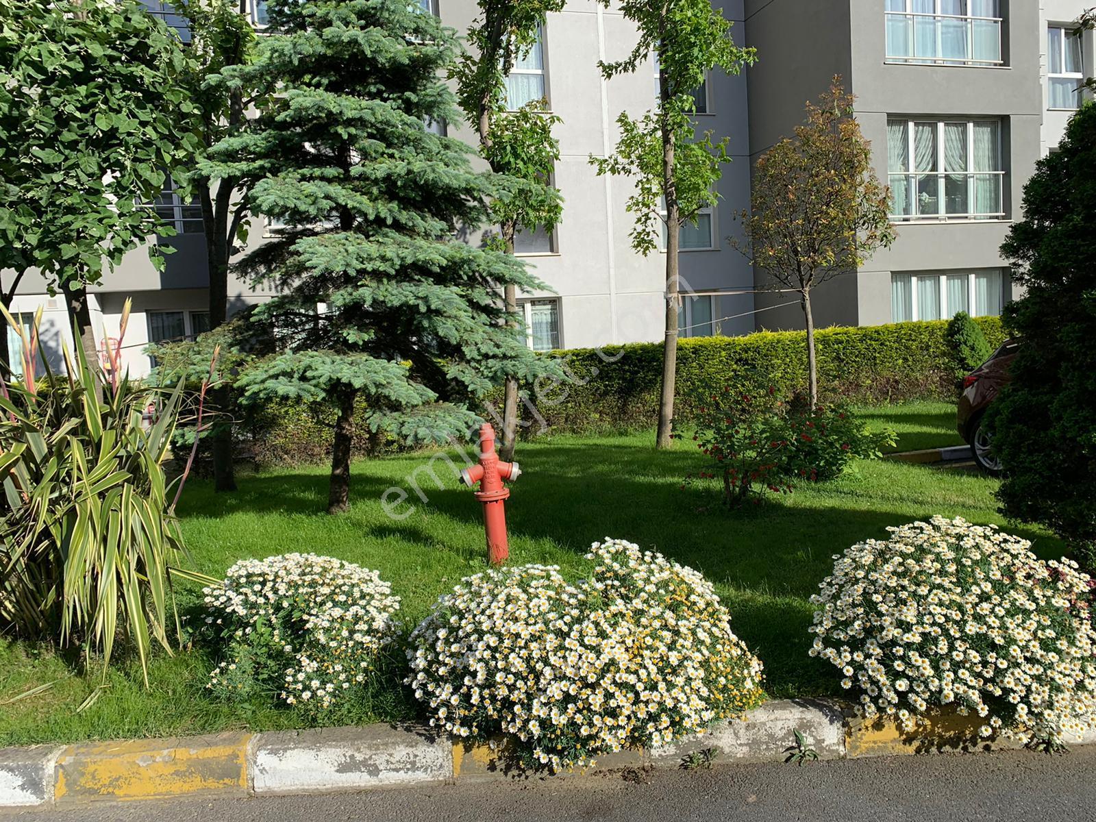 Pegaas'tan Academia Apartments 2+1 Ayrı Mutfaklı Kiralık Daire** - Görsel 45