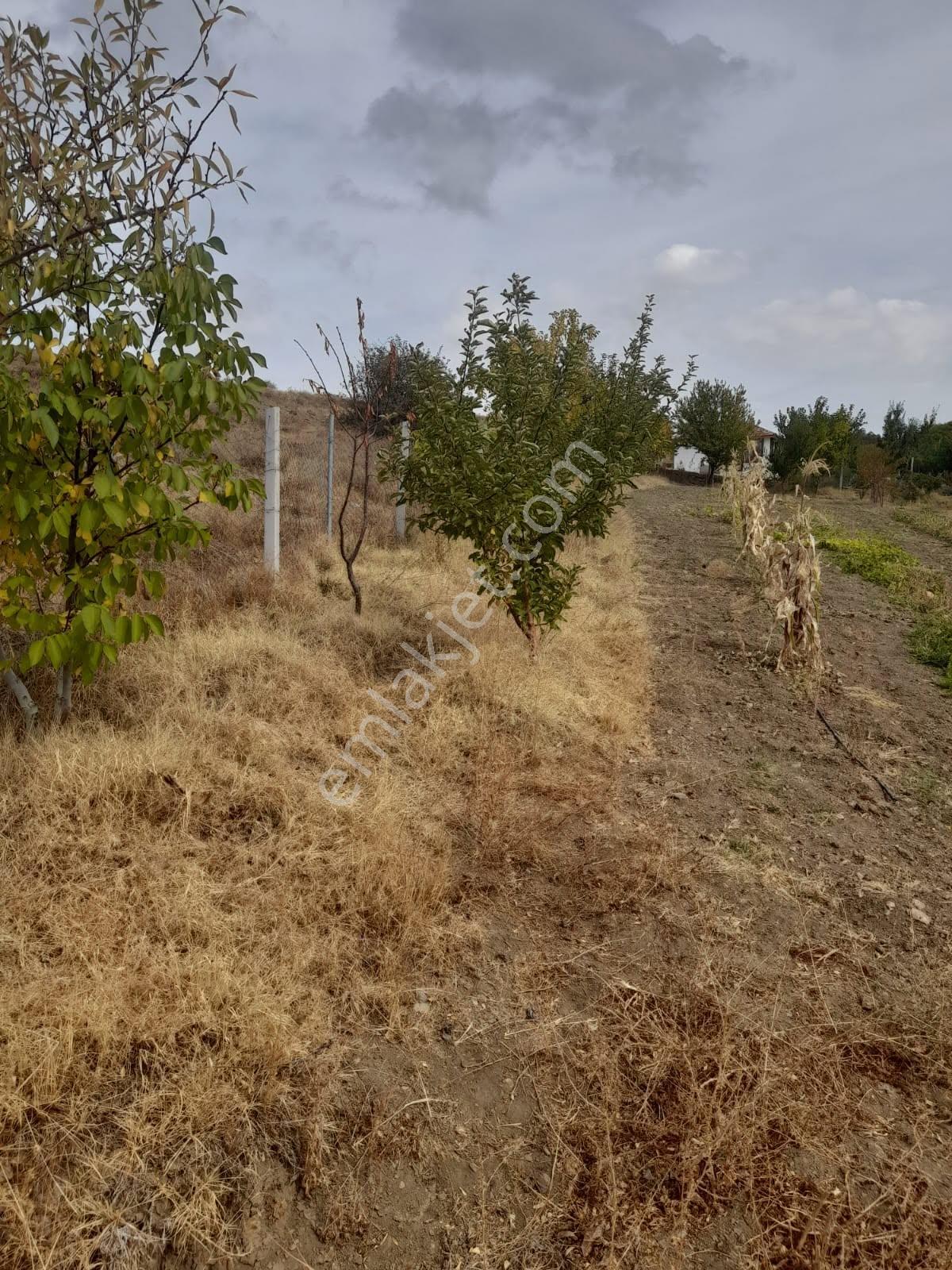 Eskişehir - Tepebaşı-eğriöz 1.050 Metrekare Satılık Tarla - Görsel 5