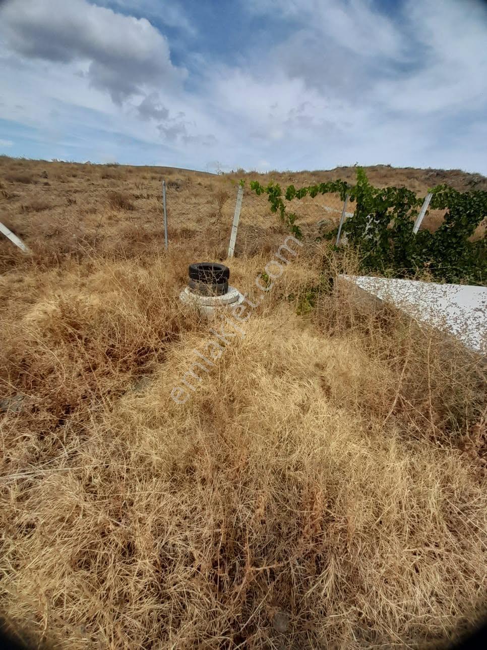 Eskişehir - Tepebaşı-eğriöz 1.050 Metrekare Satılık Tarla - Görsel 6