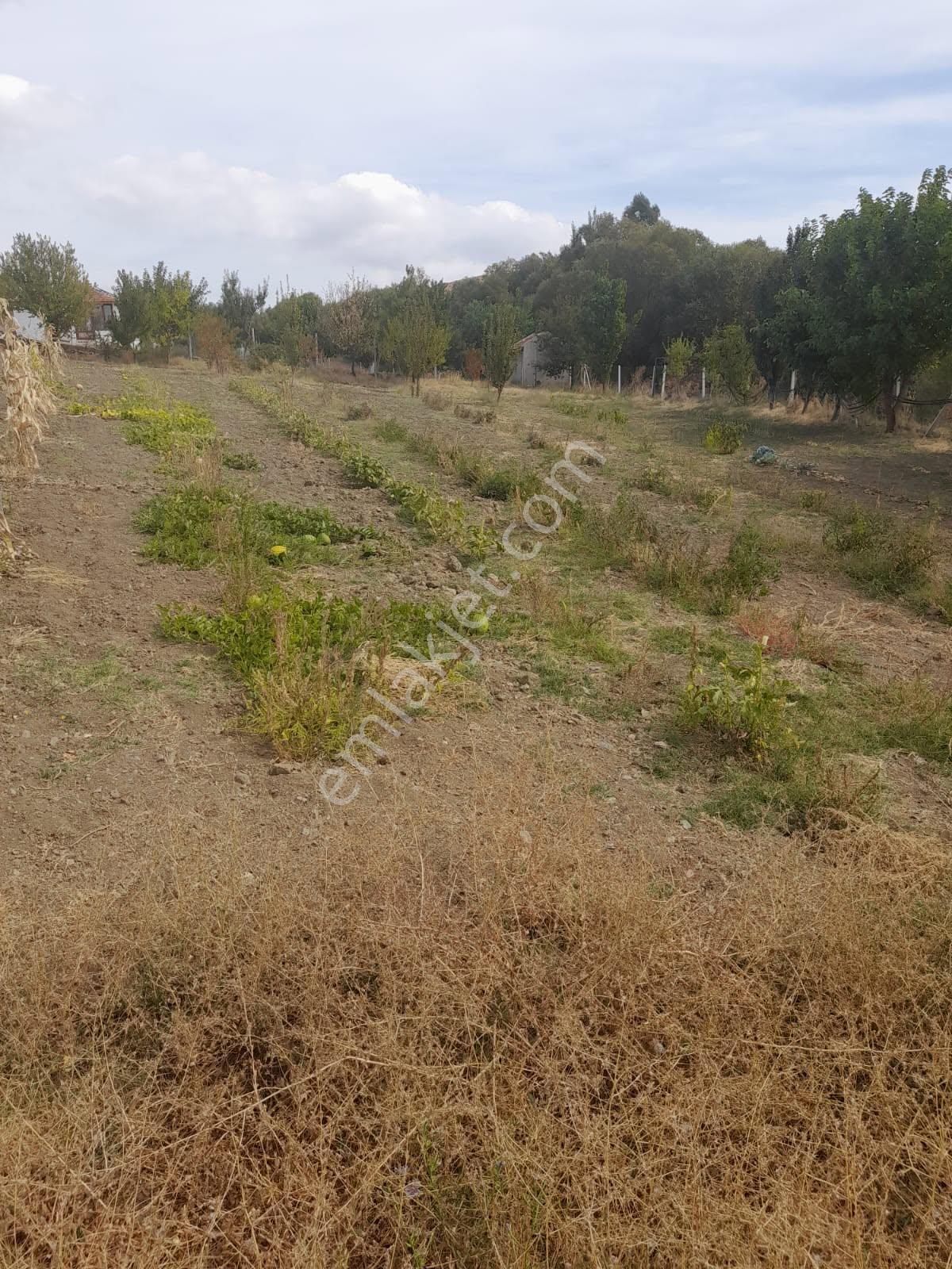 Eskişehir - Tepebaşı-eğriöz 1.050 Metrekare Satılık Tarla