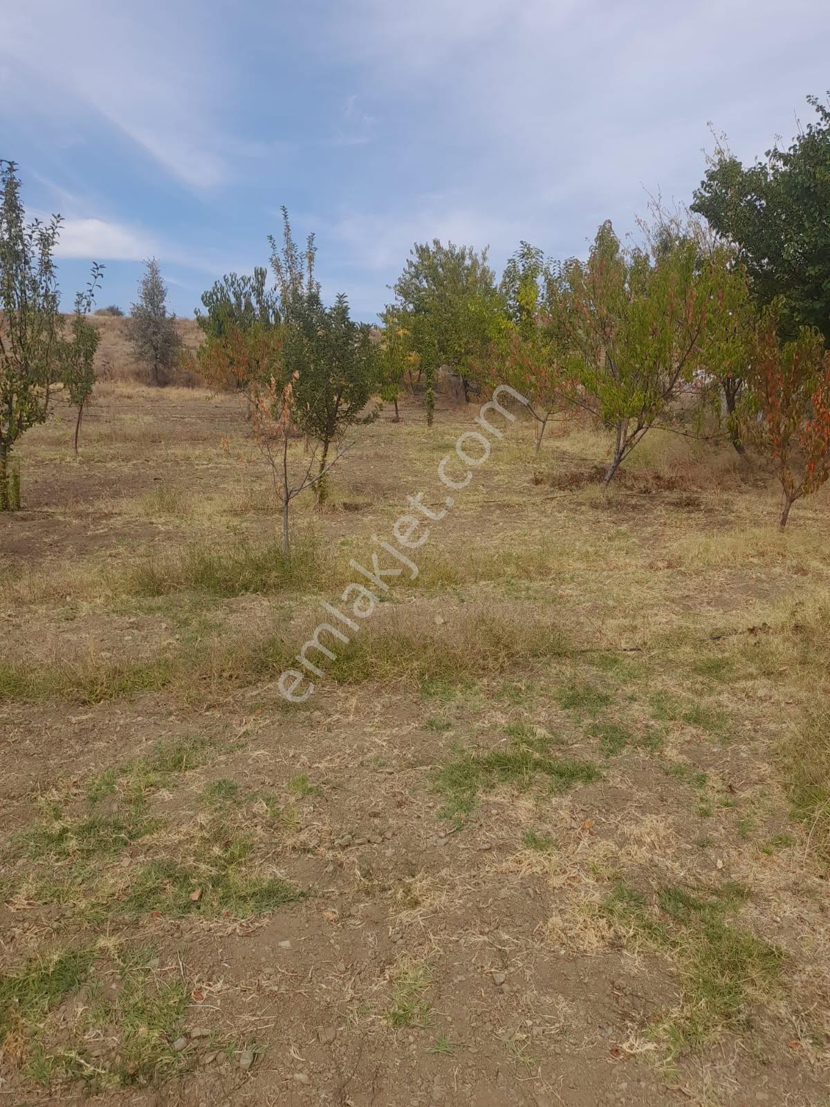 Eskişehir - Tepebaşı-eğriöz 1.050 Metrekare Satılık Tarla - Görsel 3