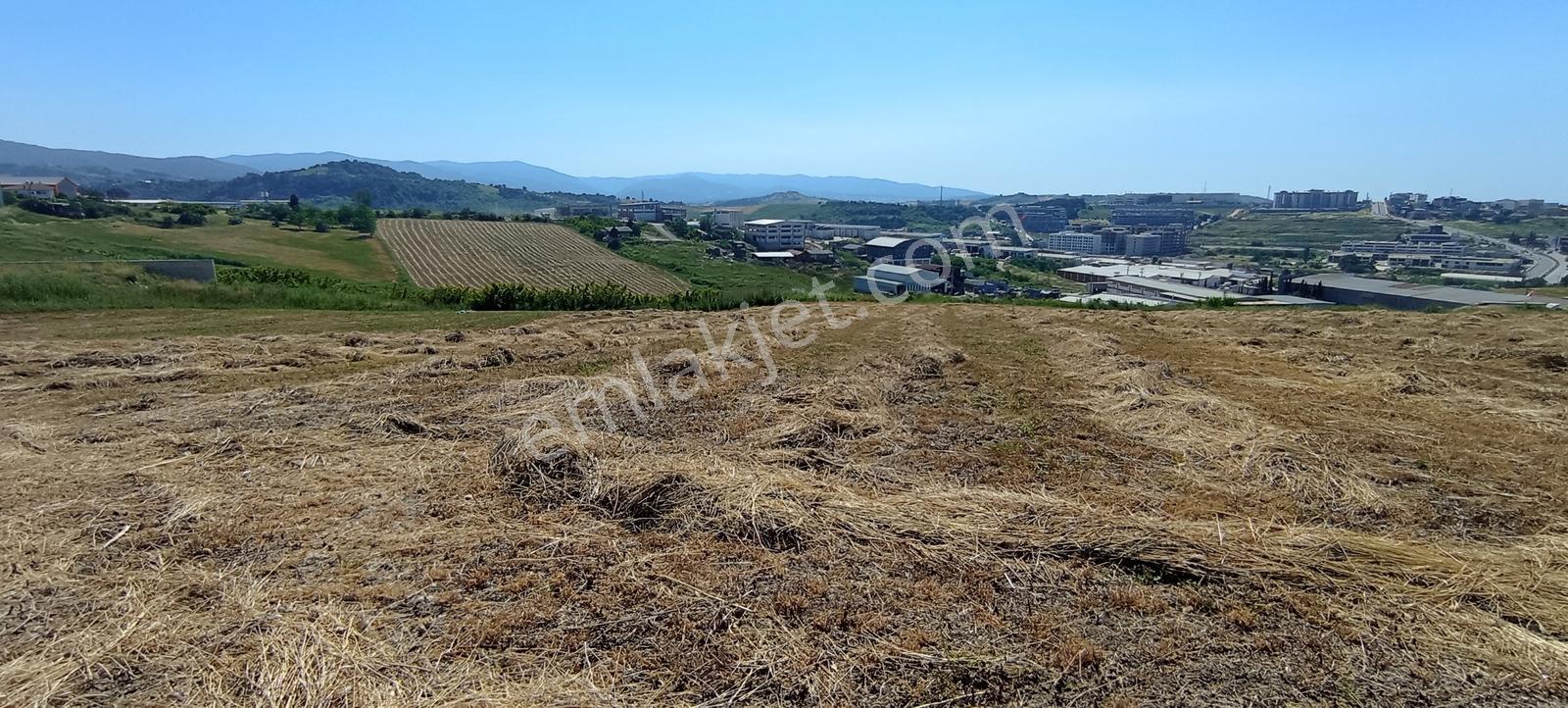Tb Grup'tan Yalova Kirazlı'da 1802 M2 Sanayi İmarlı Arsa Hissesi - Görsel 8