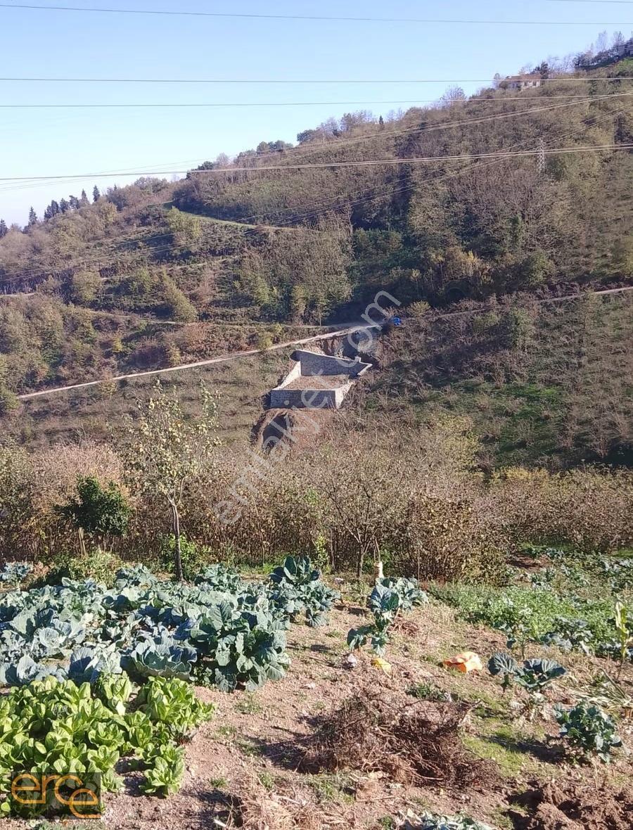 Uğurluda Deniz Manzaralı Villalık Satılık Arsa - Görsel 8