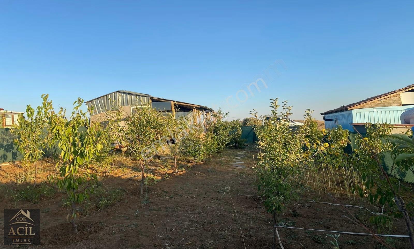 Çok Acil'den Baglum'da 300m2 İmarlı Satılık Arsa ! - Görsel 5