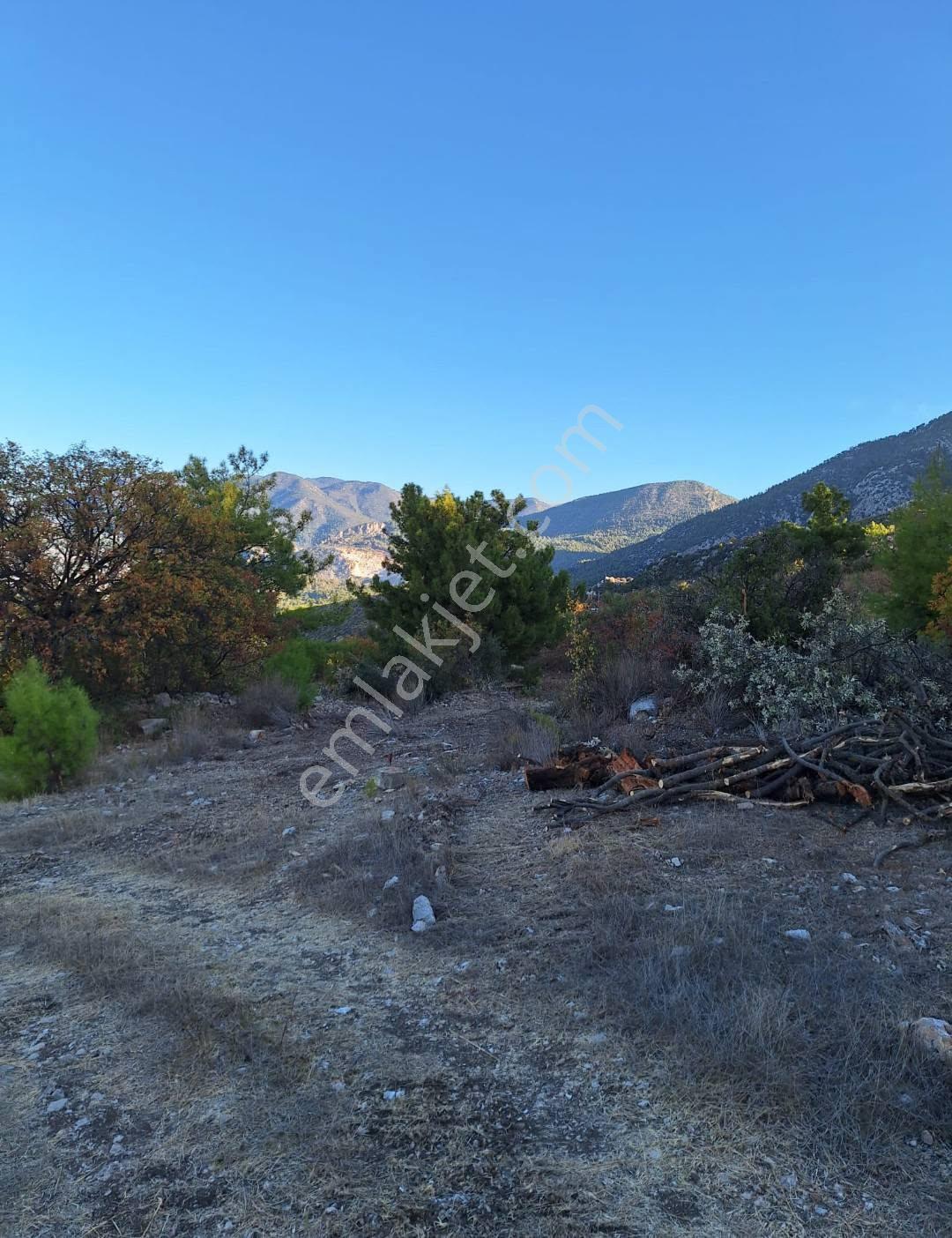 Antalya Kumluca Erentepe Satılık Kupon Tarla Yola Yakın - Görsel 2
