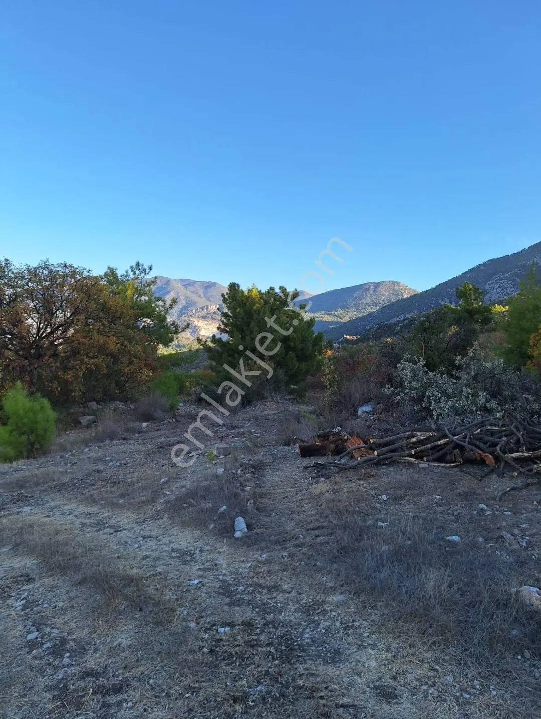 Antalya Kumluca Erentepe Satılık Kupon Tarla Yola Yakın - Görsel 5