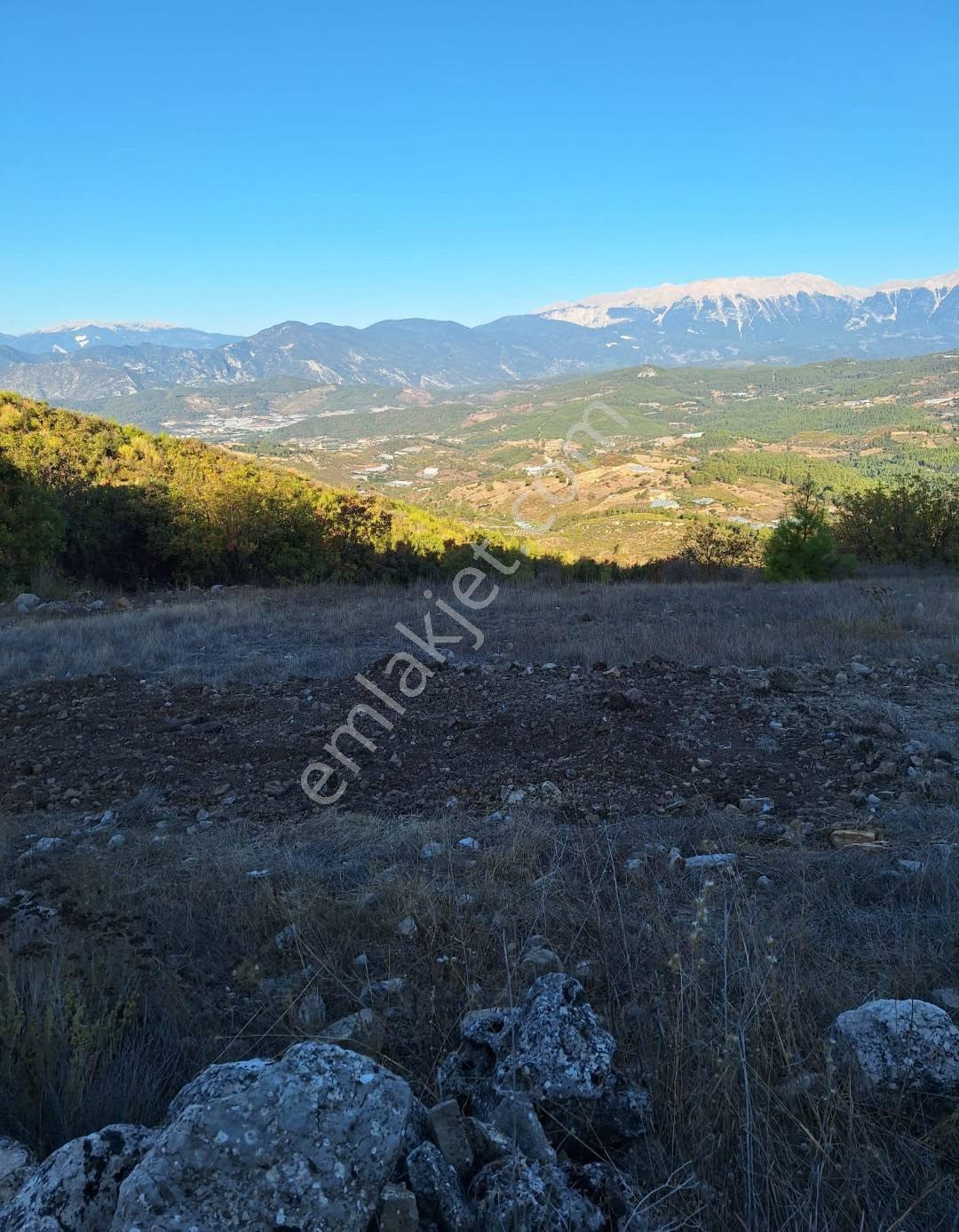 Antalya Kumluca Erentepe Satılık Kupon Tarla Yola Yakın - Görsel 3