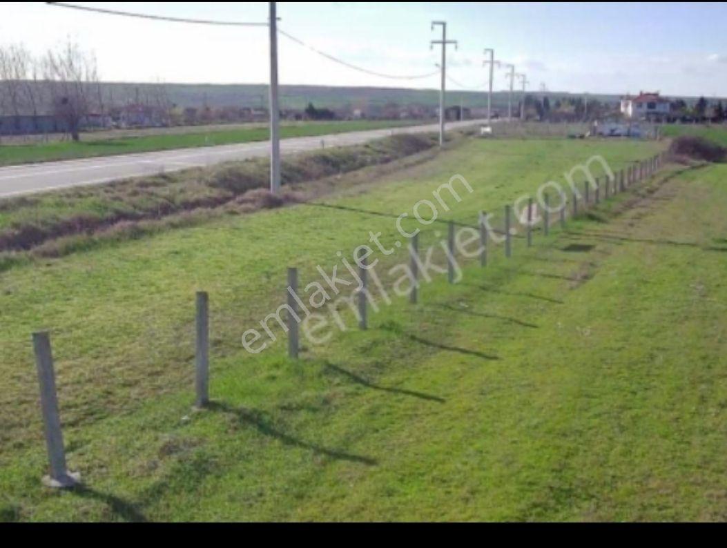 Saray Caylada Köy Dibi - Görsel 6